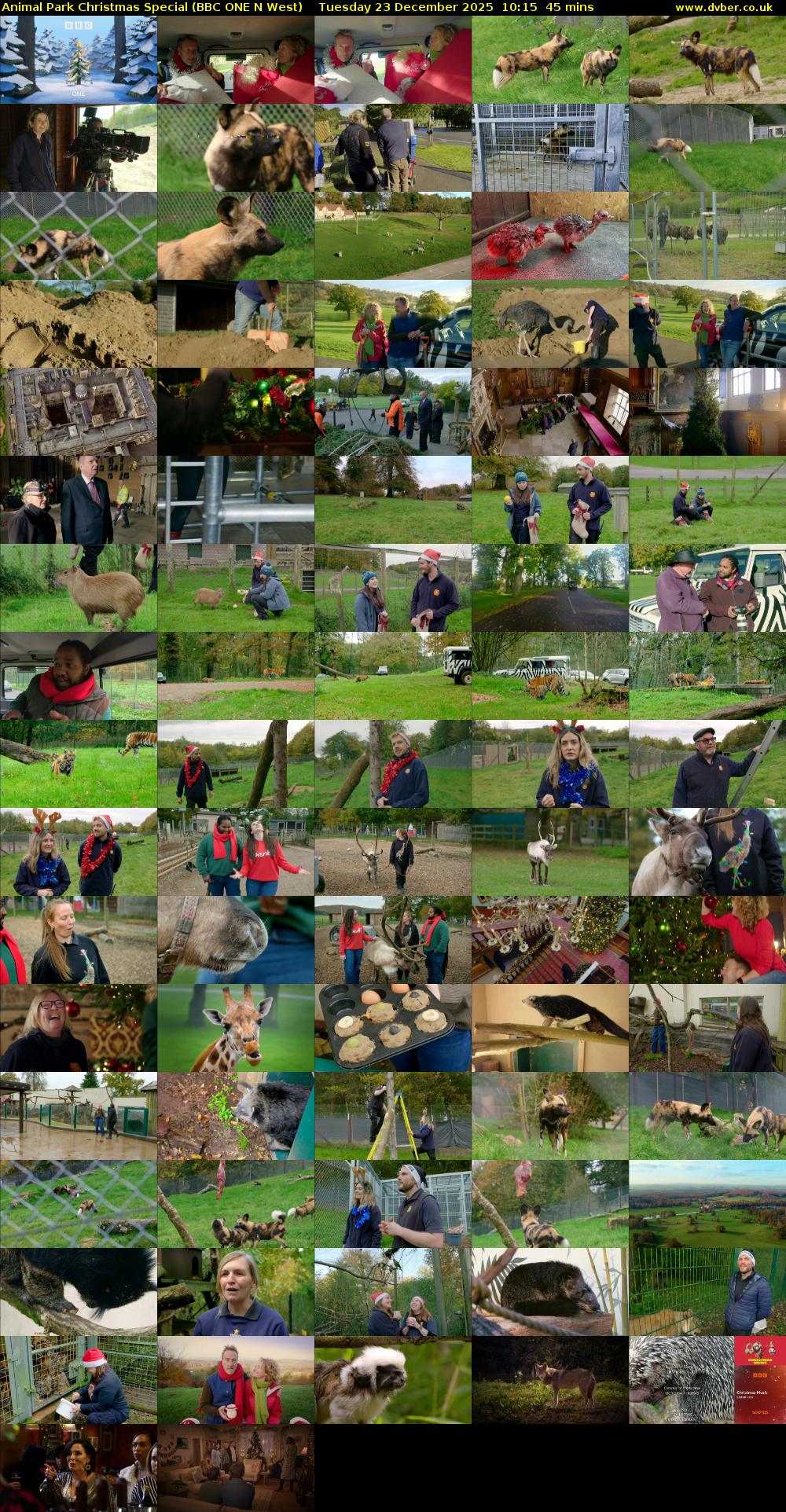 Animal Park Christmas Special (BBC ONE N West) Tuesday 23 December 2025 10:15 - 11:00
