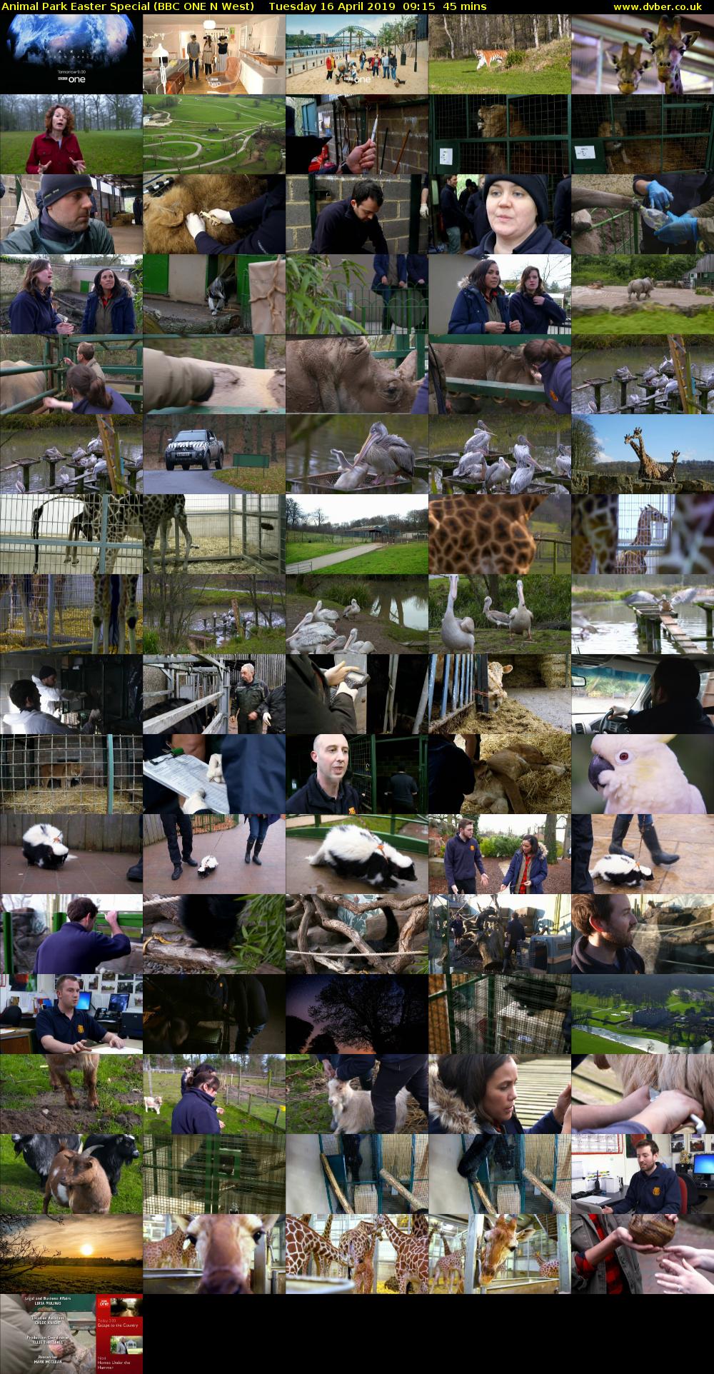 Animal Park Easter Special (BBC ONE N West) Tuesday 16 April 2019 09:15 - 10:00