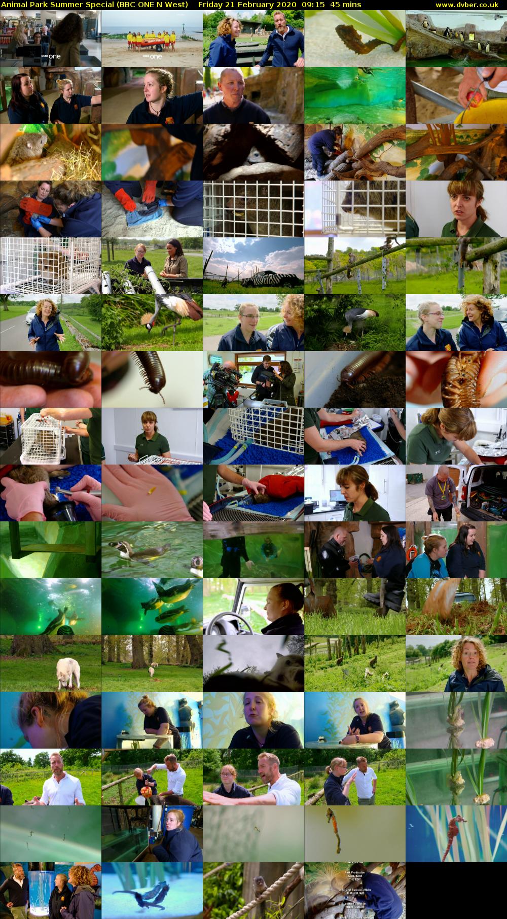 Animal Park Summer Special (BBC ONE N West) Friday 21 February 2020 09:15 - 10:00
