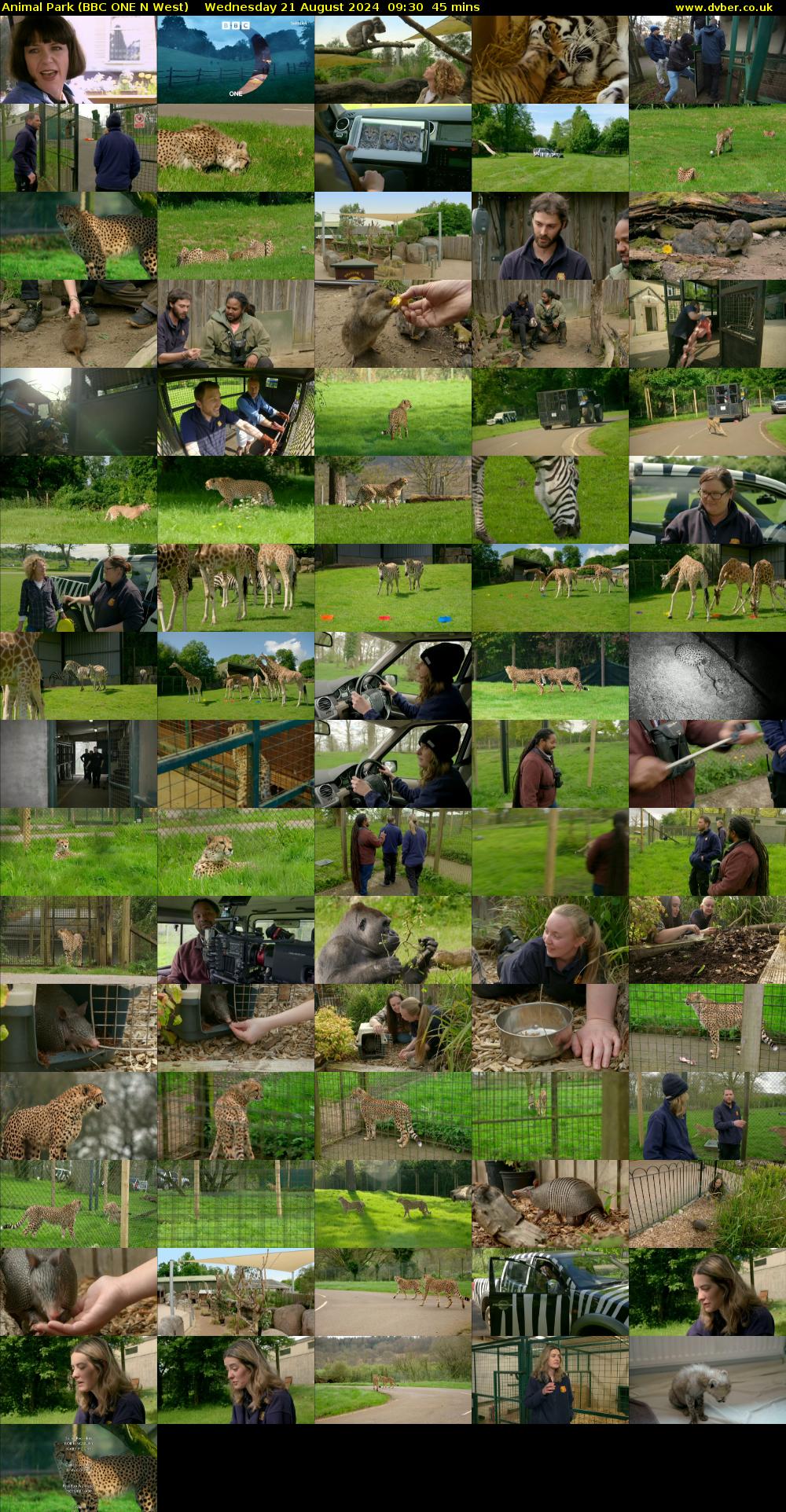 Animal Park (BBC ONE N West) Wednesday 21 August 2024 09:30 - 10:15