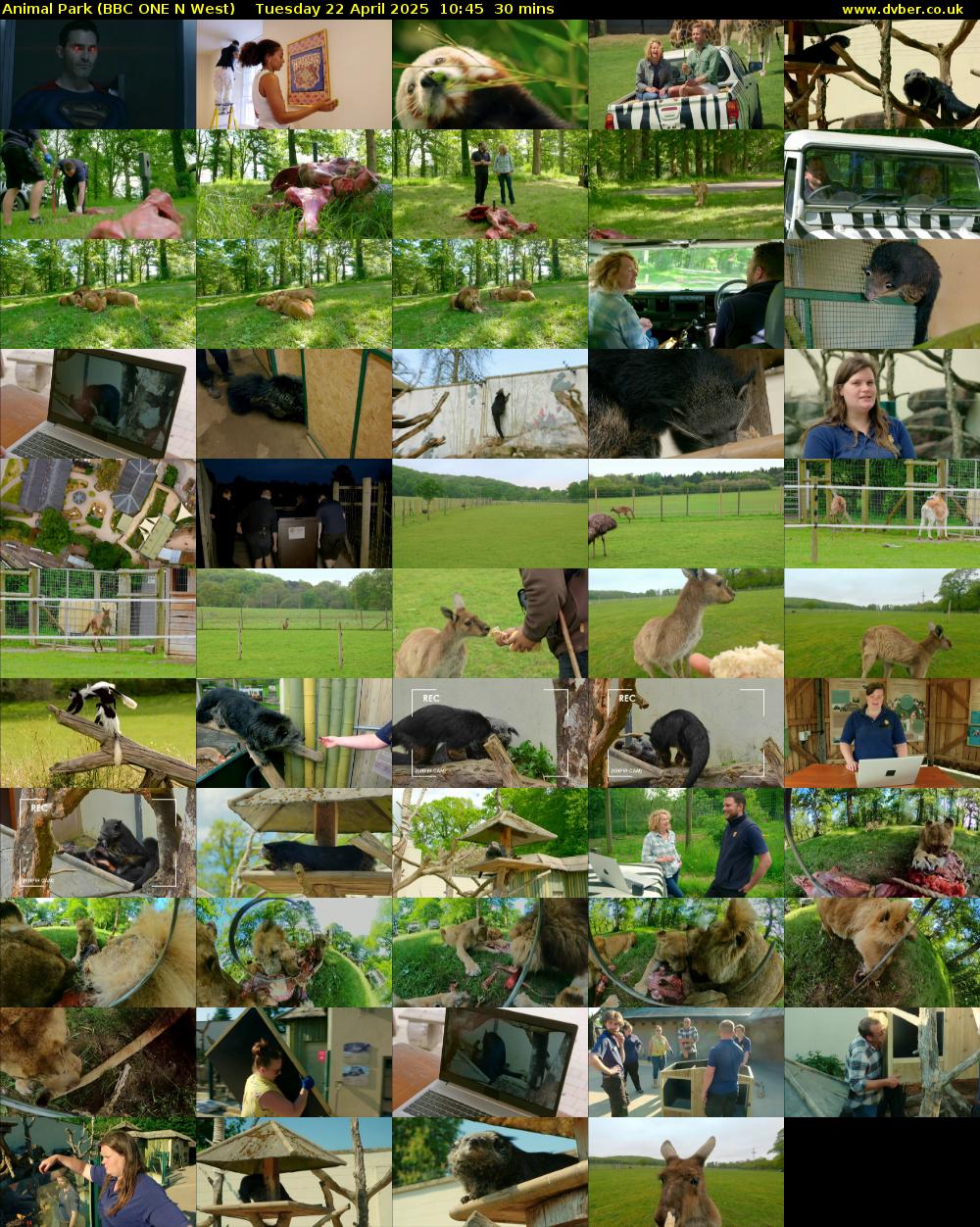 Animal Park (BBC ONE N West) Tuesday 22 April 2025 10:45 - 11:15