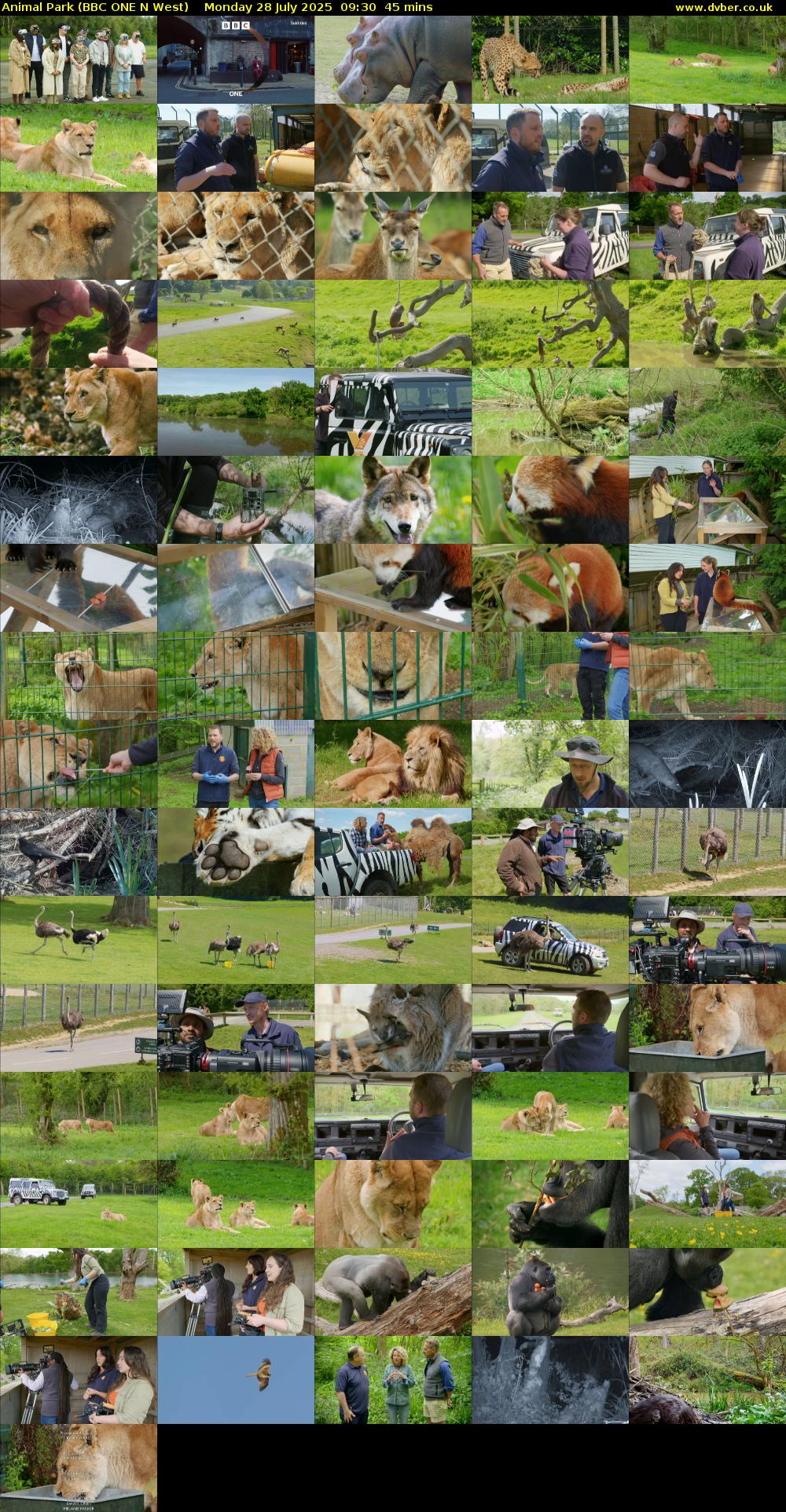 Animal Park (BBC ONE N West) Monday 28 July 2025 09:30 - 10:15