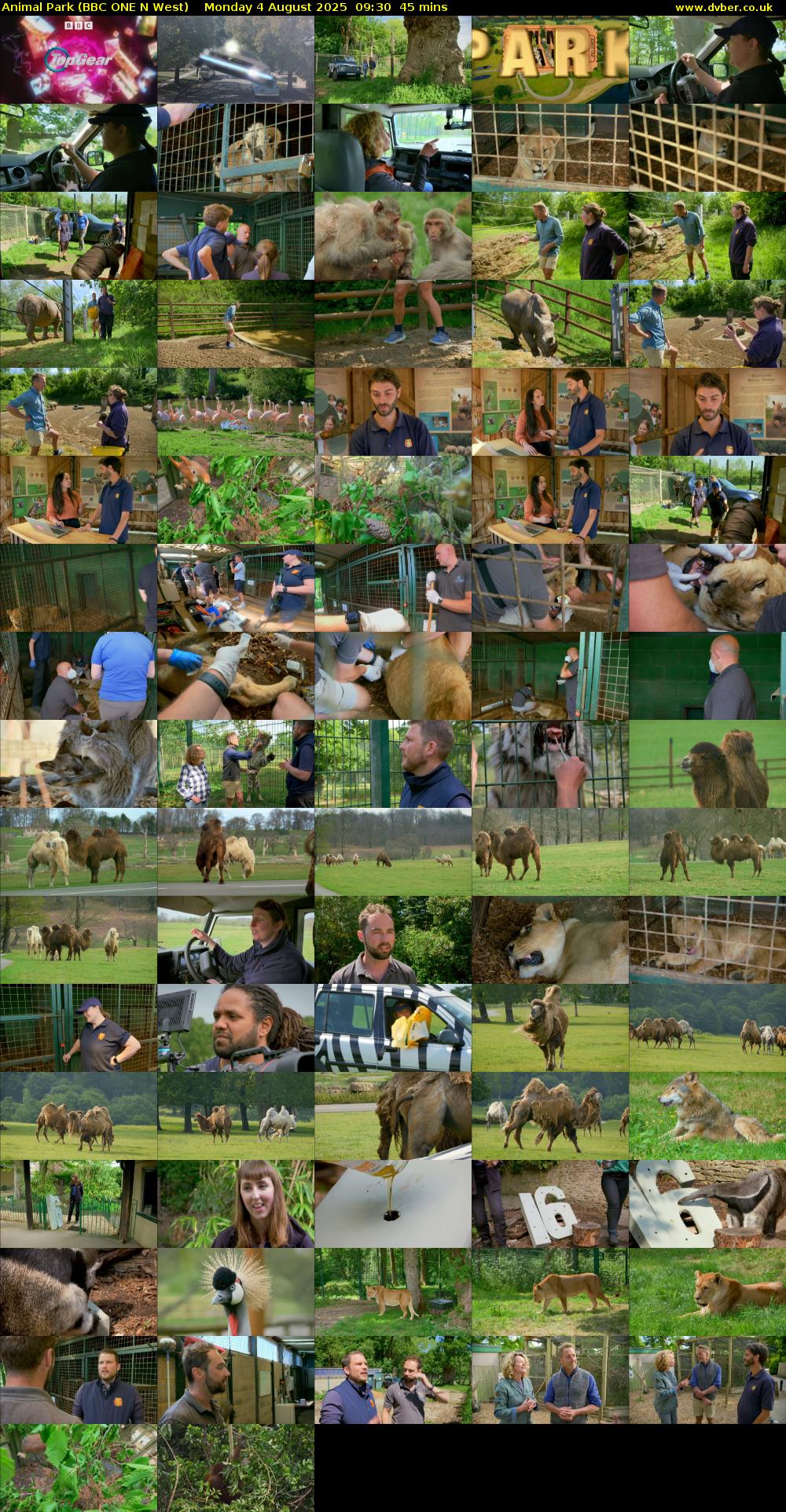 Animal Park (BBC ONE N West) Monday 4 August 2025 09:30 - 10:15