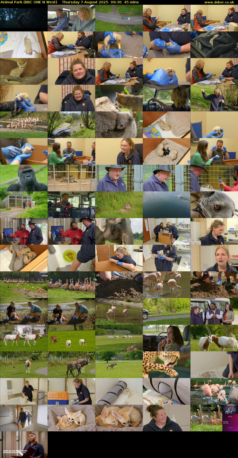 Animal Park (BBC ONE N West) Thursday 7 August 2025 09:30 - 10:15