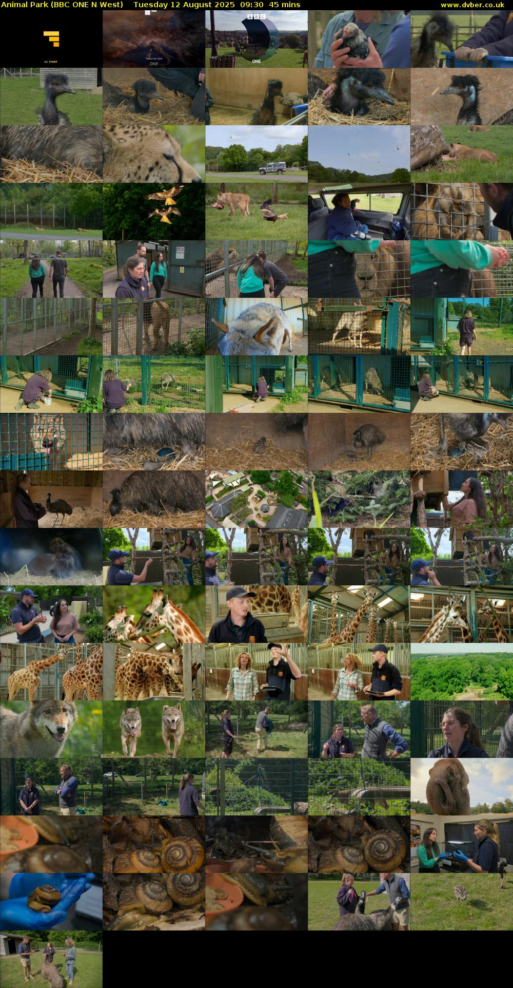Animal Park (BBC ONE N West) Tuesday 12 August 2025 09:30 - 10:15