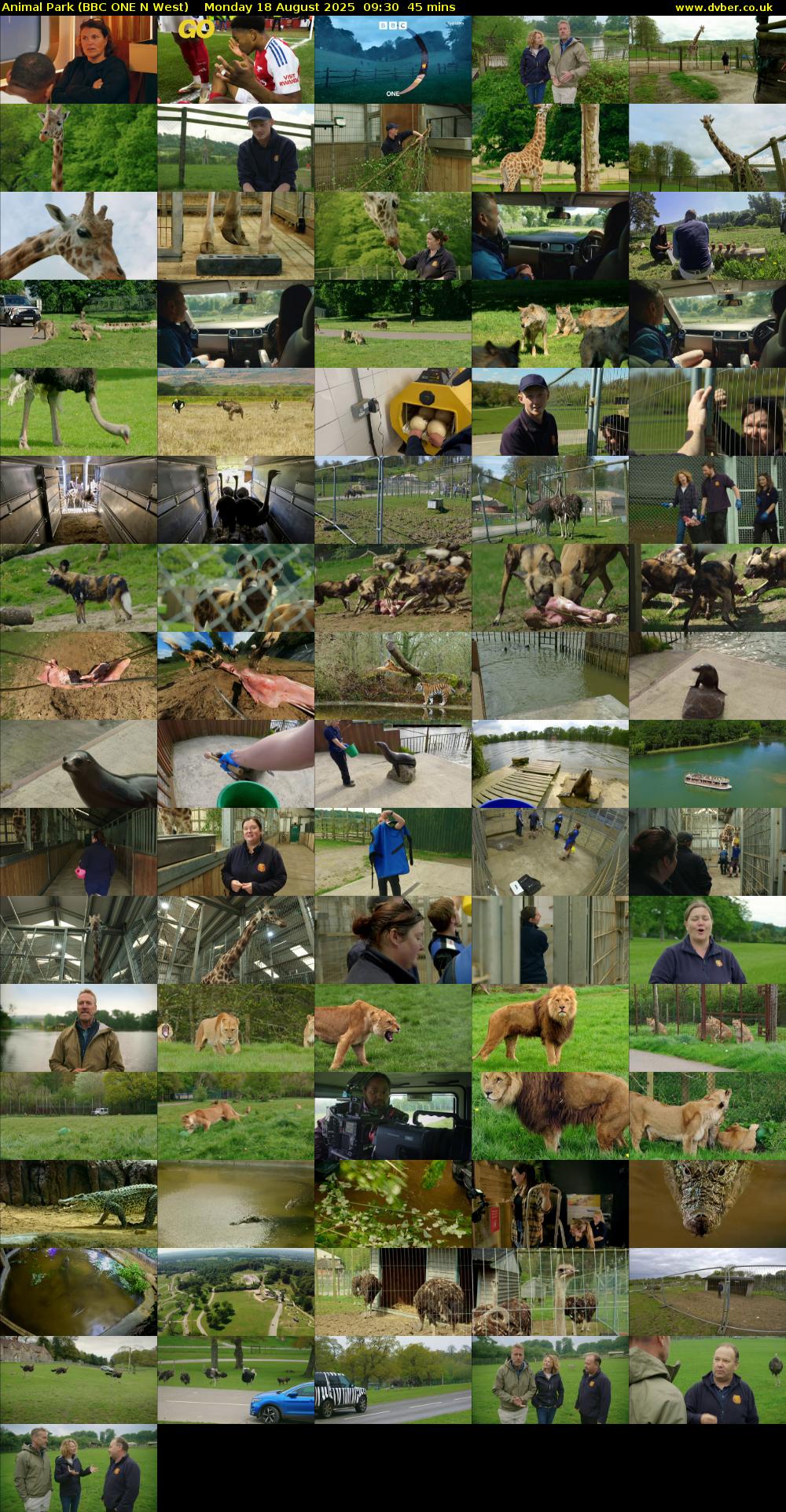 Animal Park (BBC ONE N West) Monday 18 August 2025 09:30 - 10:15