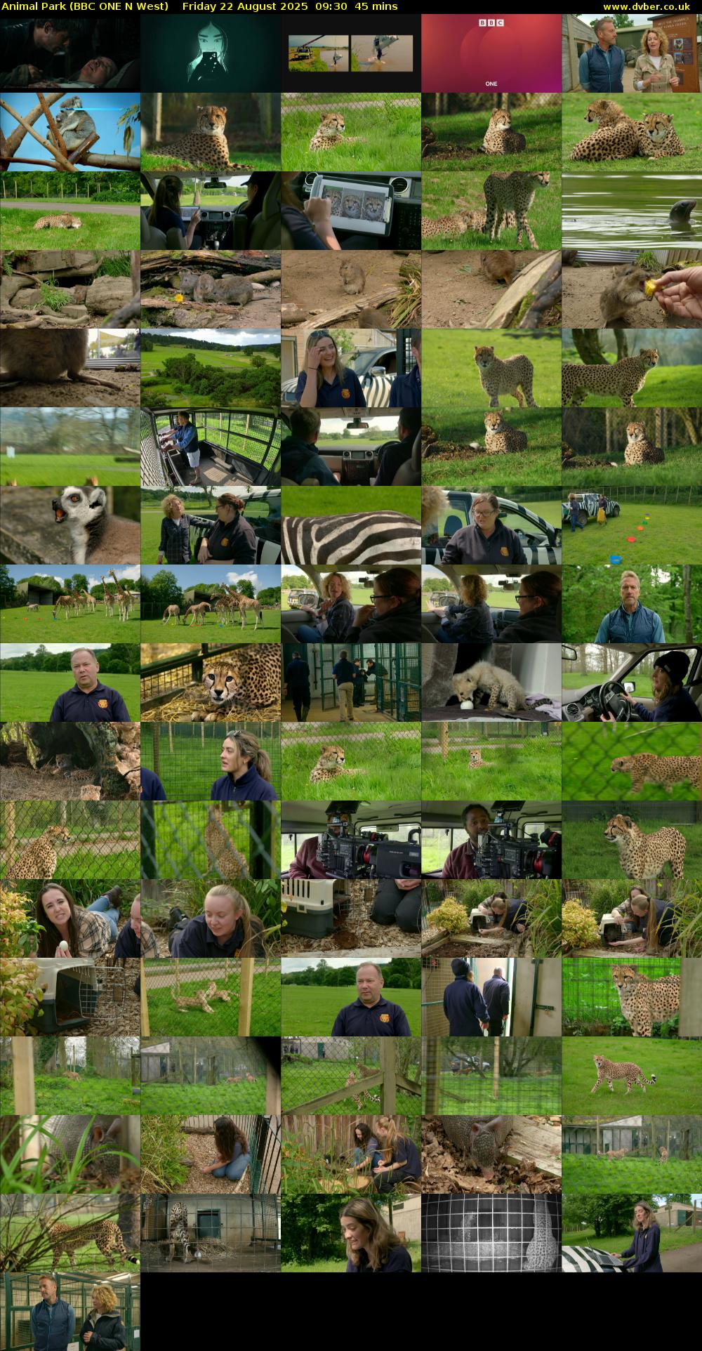 Animal Park (BBC ONE N West) Friday 22 August 2025 09:30 - 10:15