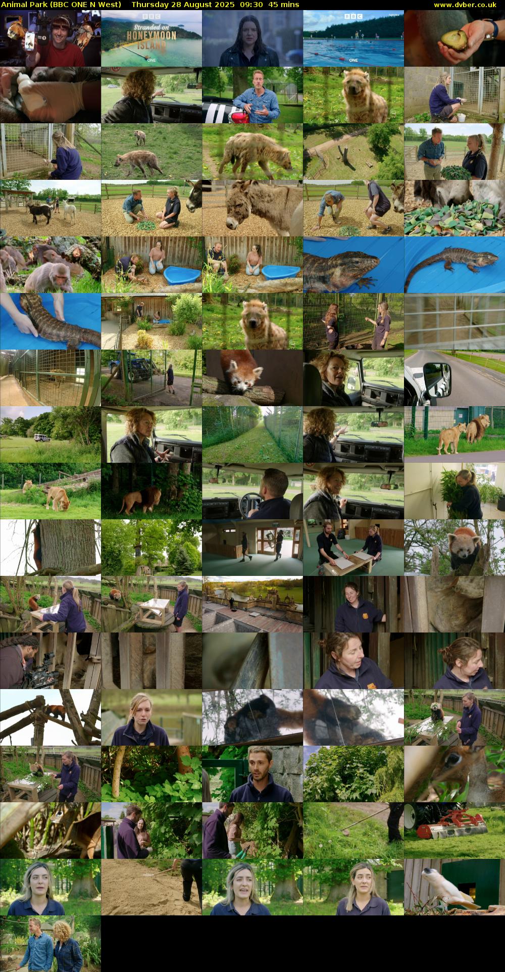 Animal Park (BBC ONE N West) Thursday 28 August 2025 09:30 - 10:15