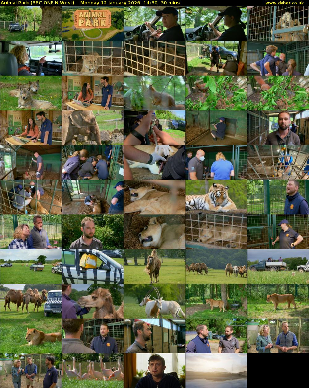 Animal Park (BBC ONE N West) Monday 12 January 2026 14:30 - 15:00