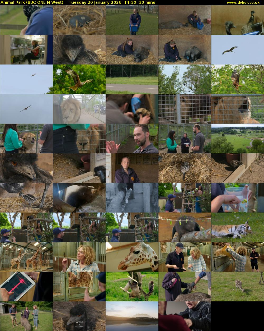 Animal Park (BBC ONE N West) Tuesday 20 January 2026 14:30 - 15:00