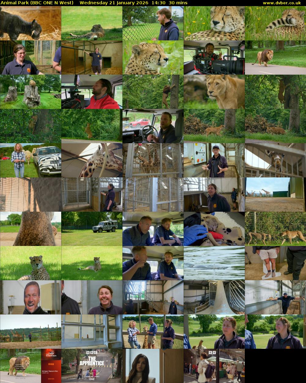 Animal Park (BBC ONE N West) Wednesday 21 January 2026 14:30 - 15:00