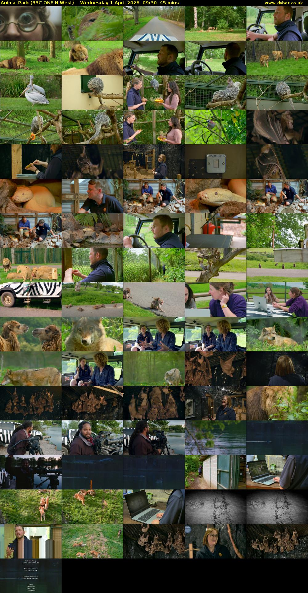 Animal Park (BBC ONE N West) Wednesday 1 April 2026 09:30 - 10:15