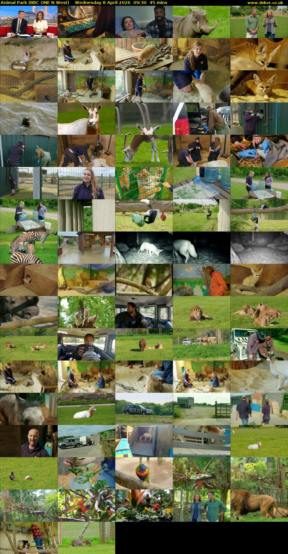 Animal Park (BBC ONE N West) Wednesday 8 April 2026 09:30 - 10:15
