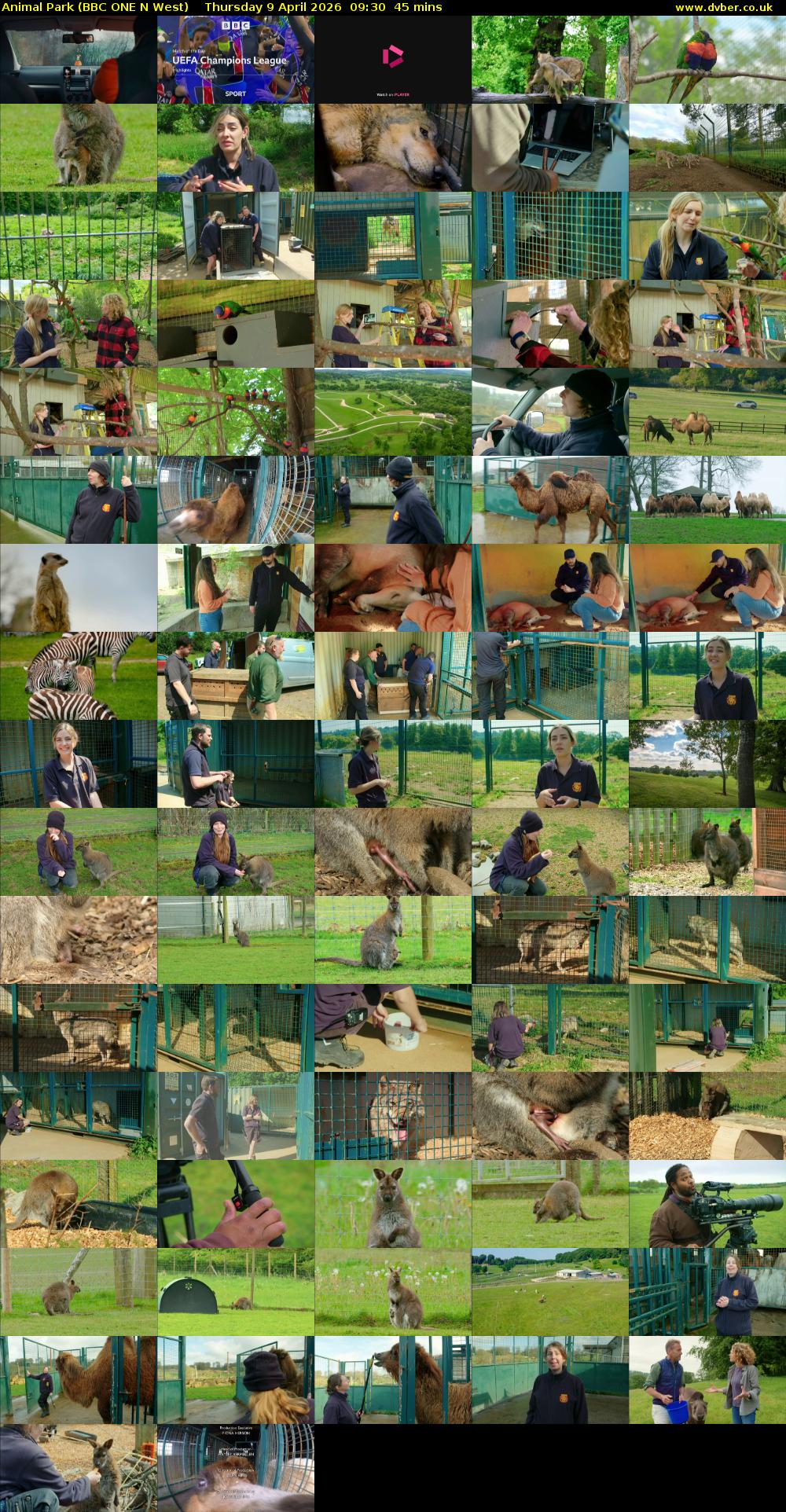 Animal Park (BBC ONE N West) Thursday 9 April 2026 09:30 - 10:15