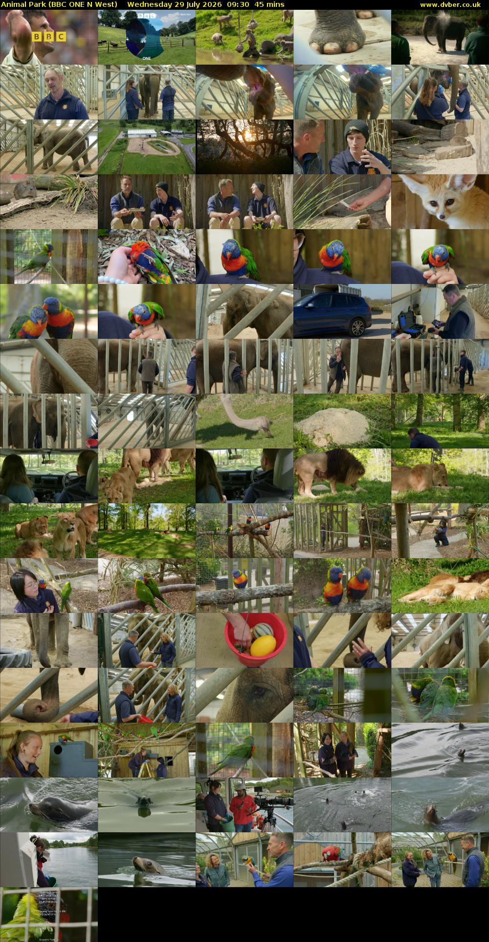 Animal Park (BBC ONE N West) Wednesday 29 July 2026 09:30 - 10:15