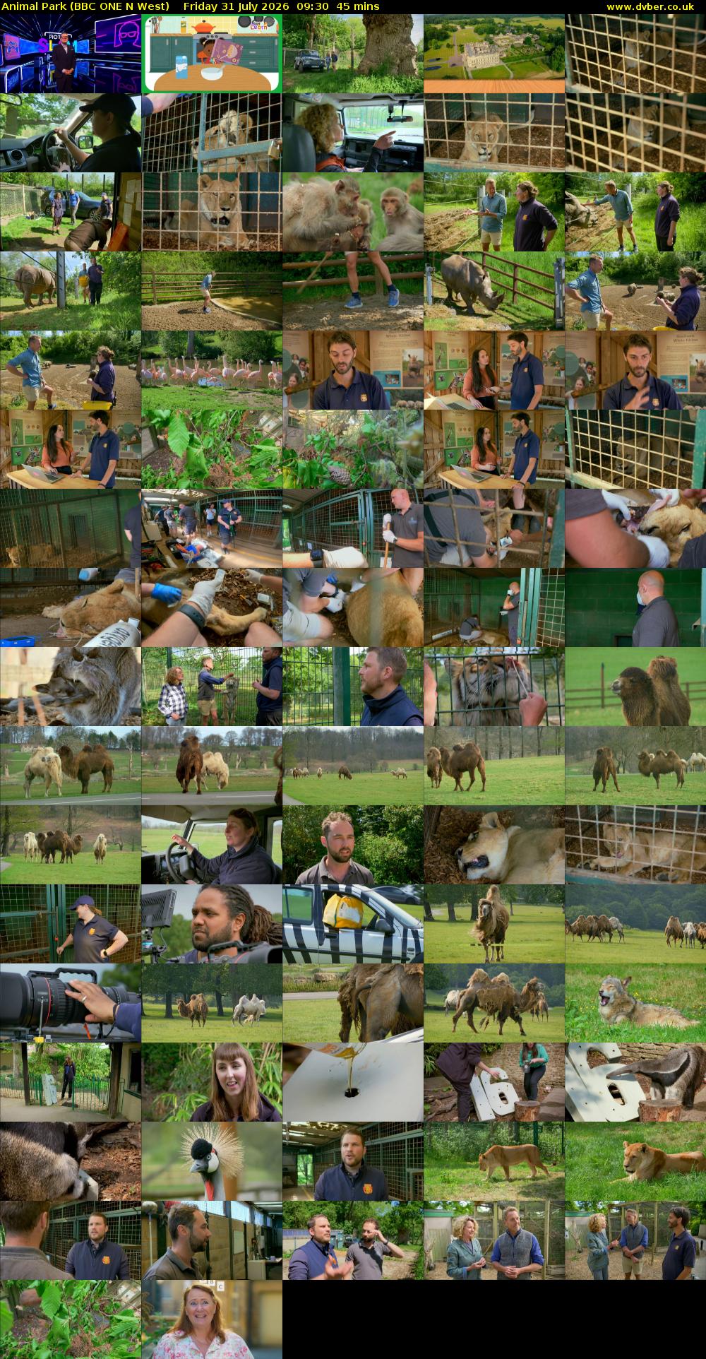 Animal Park (BBC ONE N West) Friday 31 July 2026 09:30 - 10:15
