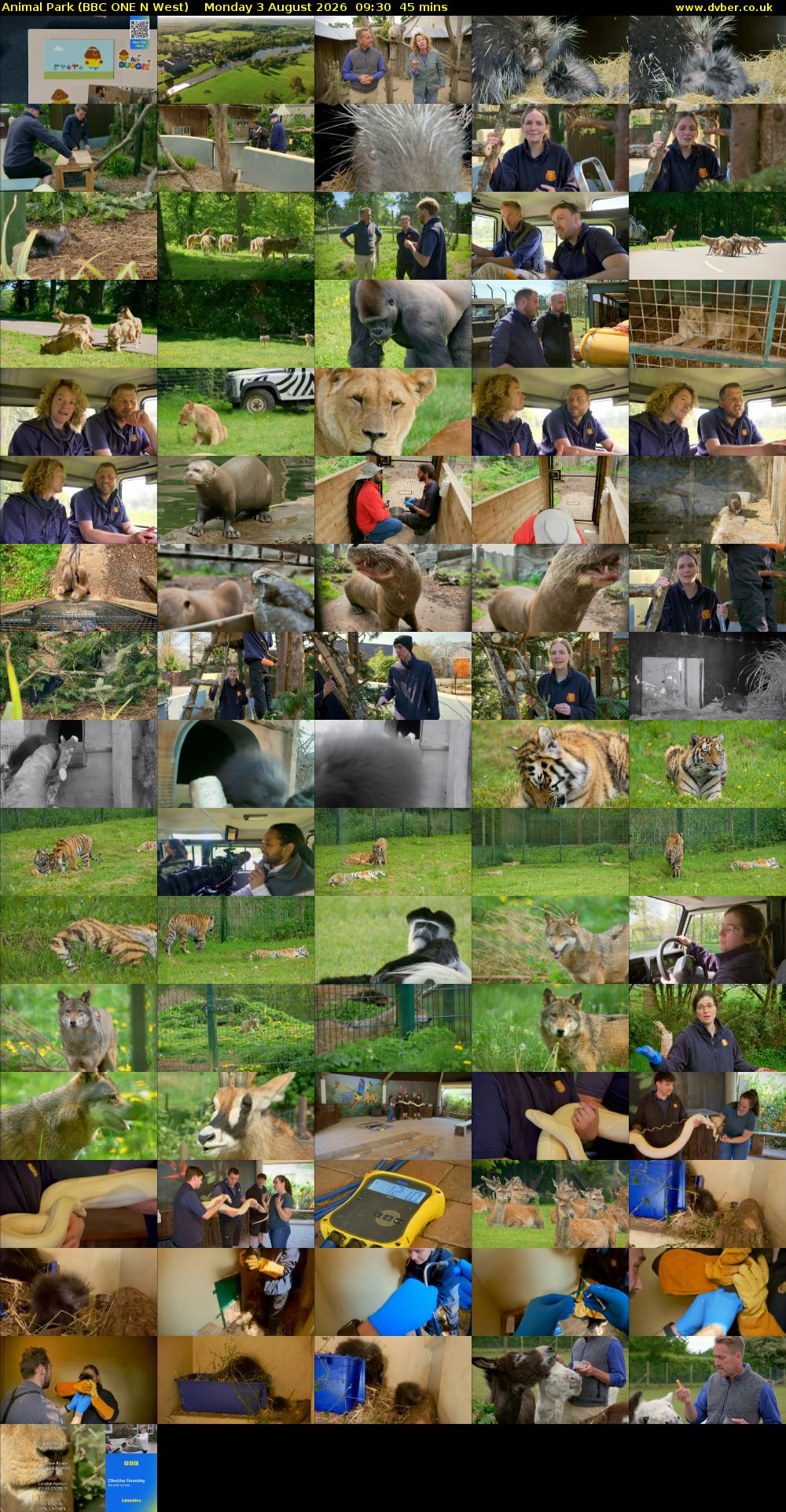 Animal Park (BBC ONE N West) Monday 3 August 2026 09:30 - 10:15