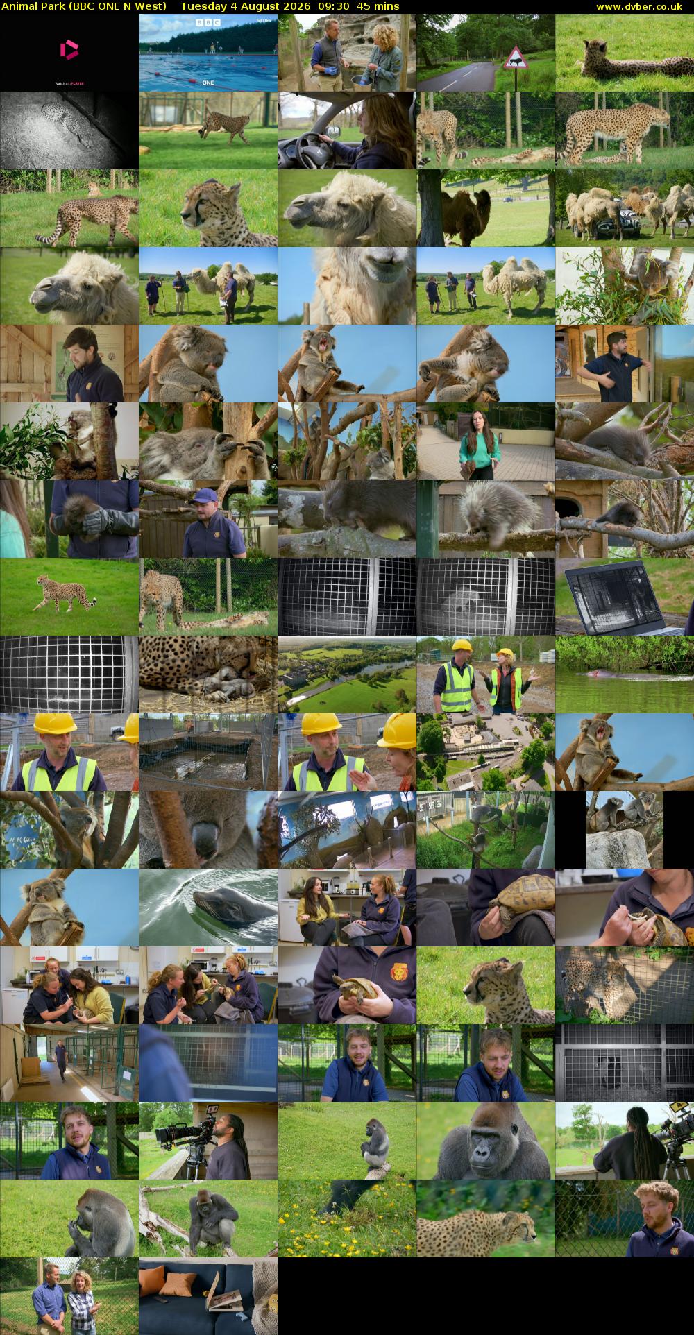 Animal Park (BBC ONE N West) Tuesday 4 August 2026 09:30 - 10:15