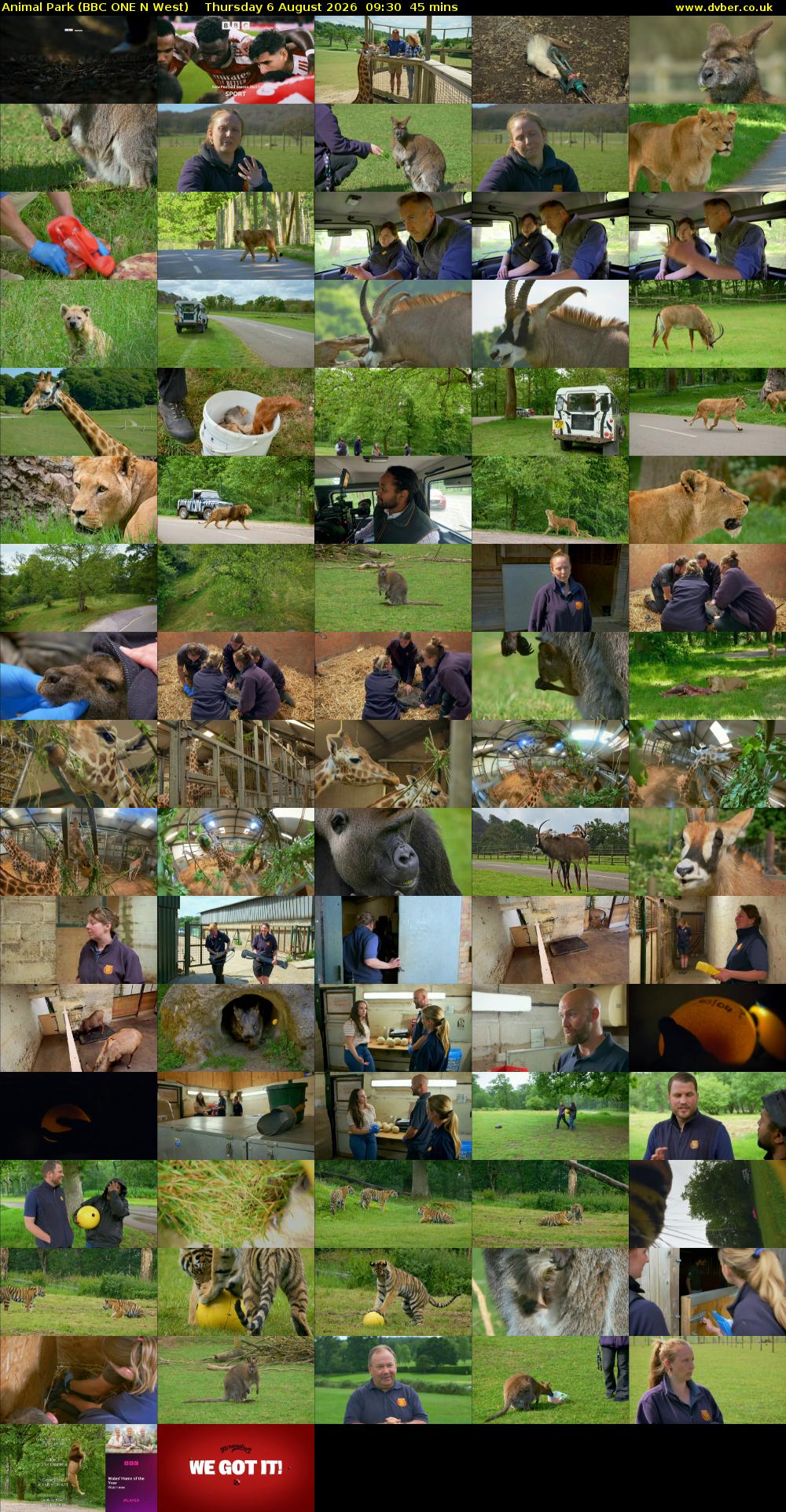 Animal Park (BBC ONE N West) Thursday 6 August 2026 09:30 - 10:15