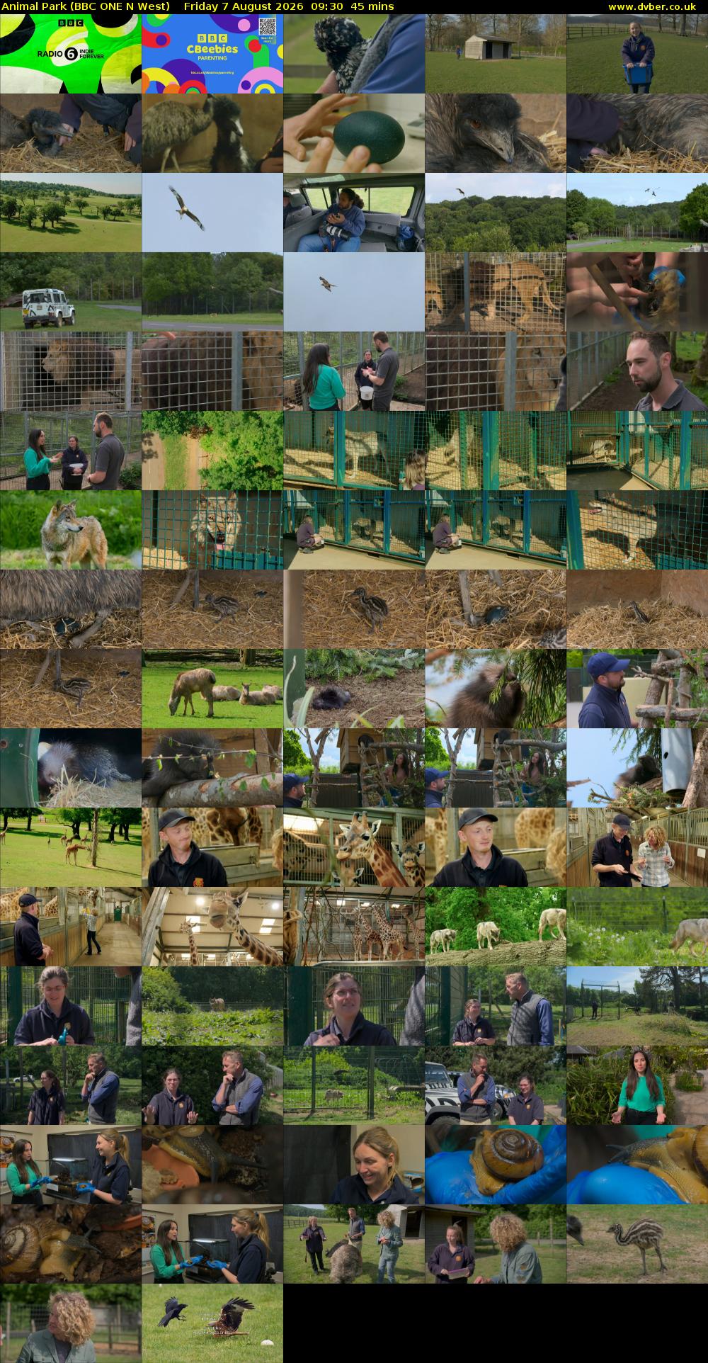 Animal Park (BBC ONE N West) Friday 7 August 2026 09:30 - 10:15