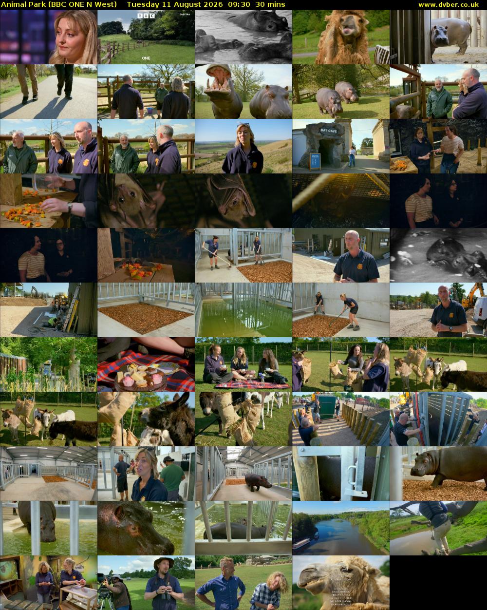 Animal Park (BBC ONE N West) Tuesday 11 August 2026 09:30 - 10:00