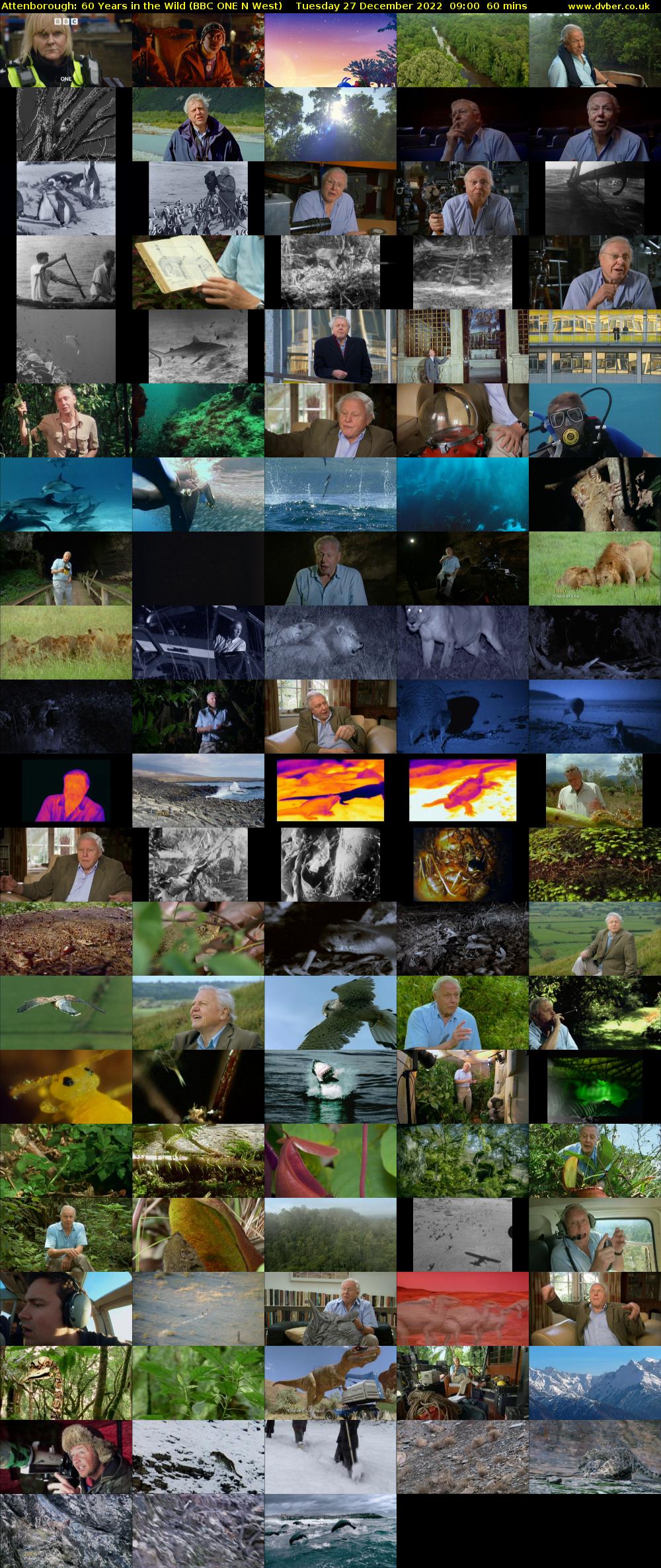 Attenborough: 60 Years in the Wild (BBC ONE N West) Tuesday 27 December 2022 09:00 - 10:00