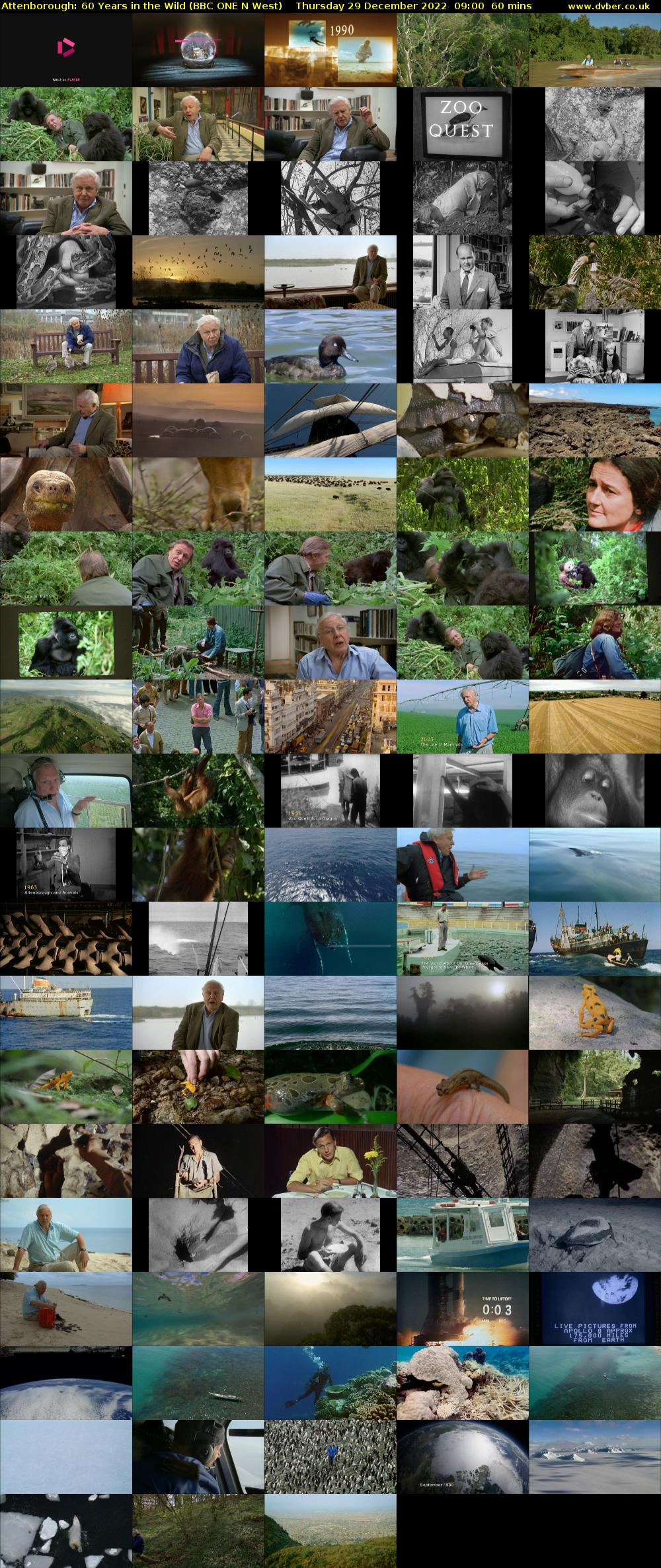 Attenborough: 60 Years in the Wild (BBC ONE N West) Thursday 29 December 2022 09:00 - 10:00