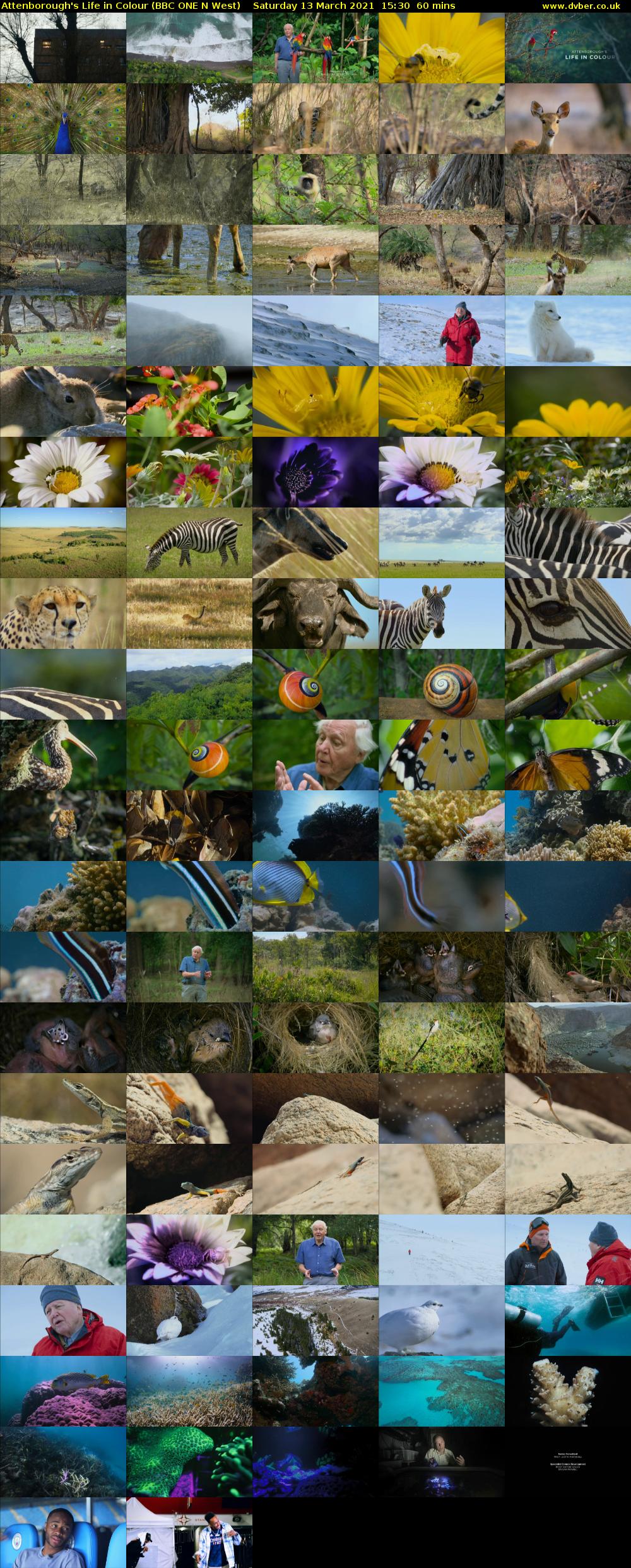 Attenborough's Life in Colour (BBC ONE N West) Saturday 13 March 2021 15:30 - 16:30