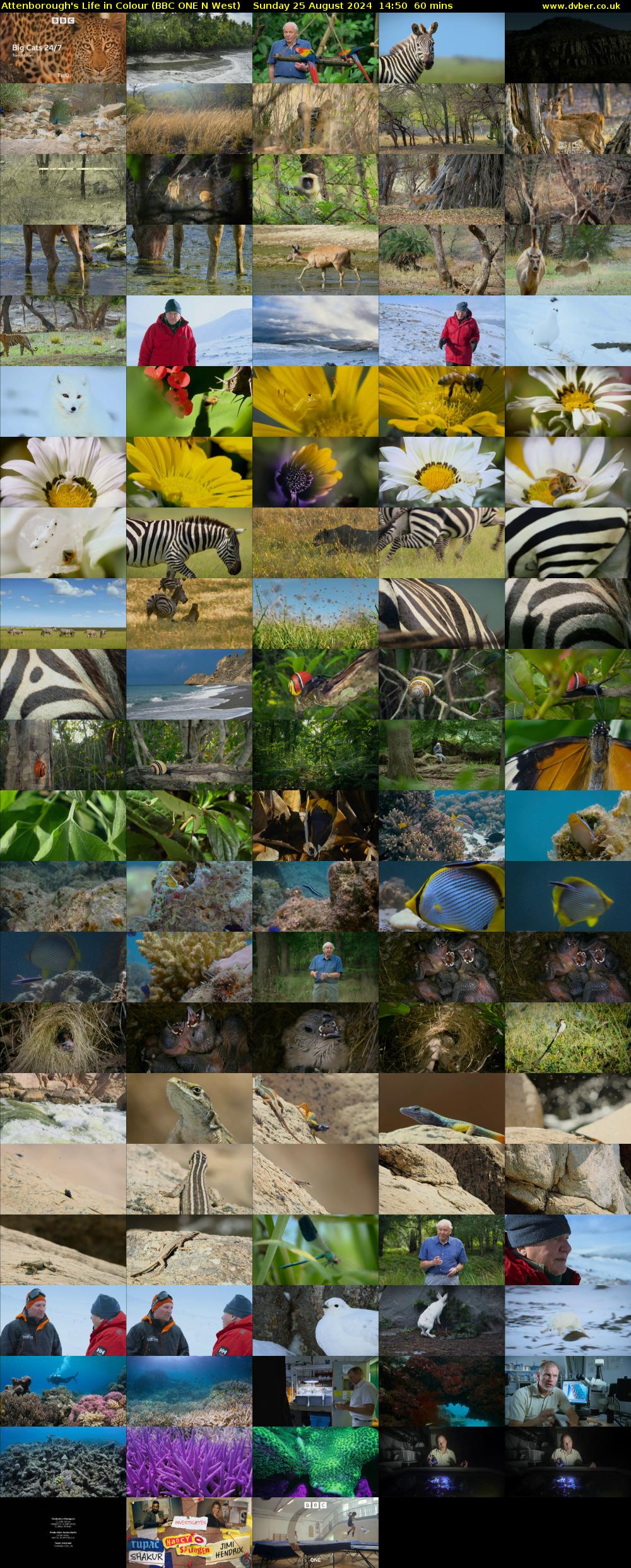 Attenborough's Life in Colour (BBC ONE N West) Sunday 25 August 2024 14:50 - 15:50