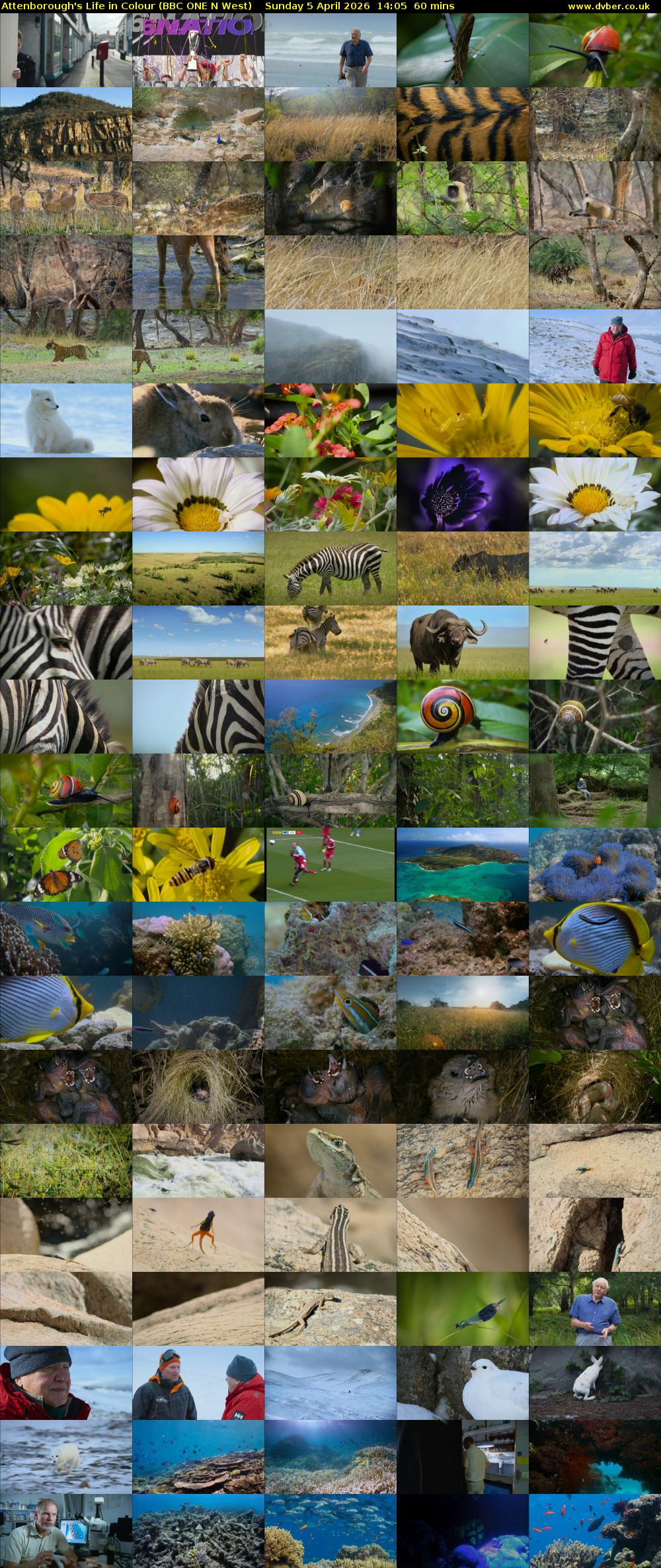Attenborough's Life in Colour (BBC ONE N West) Sunday 5 April 2026 14:05 - 15:05