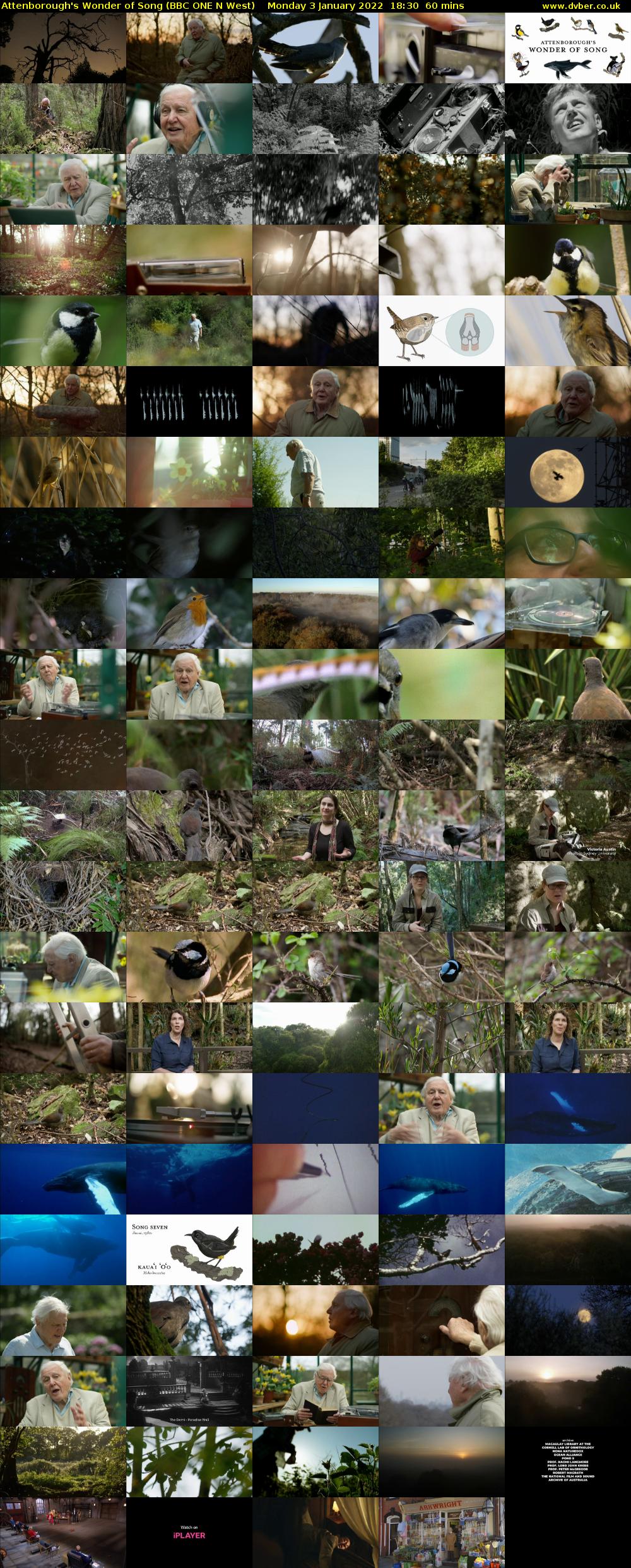 Attenborough's Wonder of Song (BBC ONE N West) Monday 3 January 2022 18:30 - 19:30