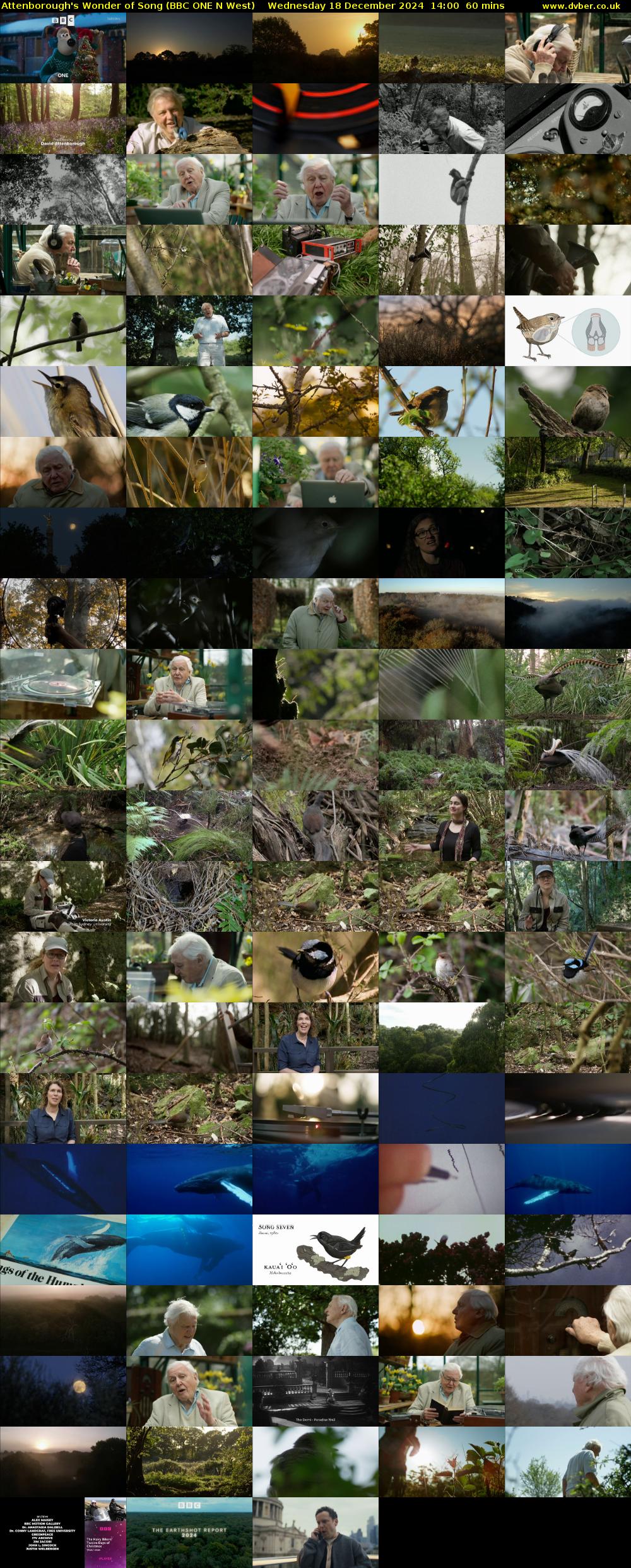 Attenborough's Wonder of Song (BBC ONE N West) Wednesday 18 December 2024 14:00 - 15:00