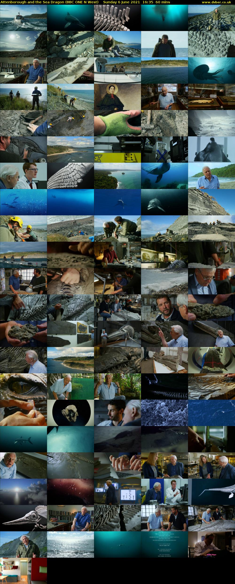 Attenborough and the Sea Dragon (BBC ONE N West) Sunday 6 June 2021 16:35 - 17:35
