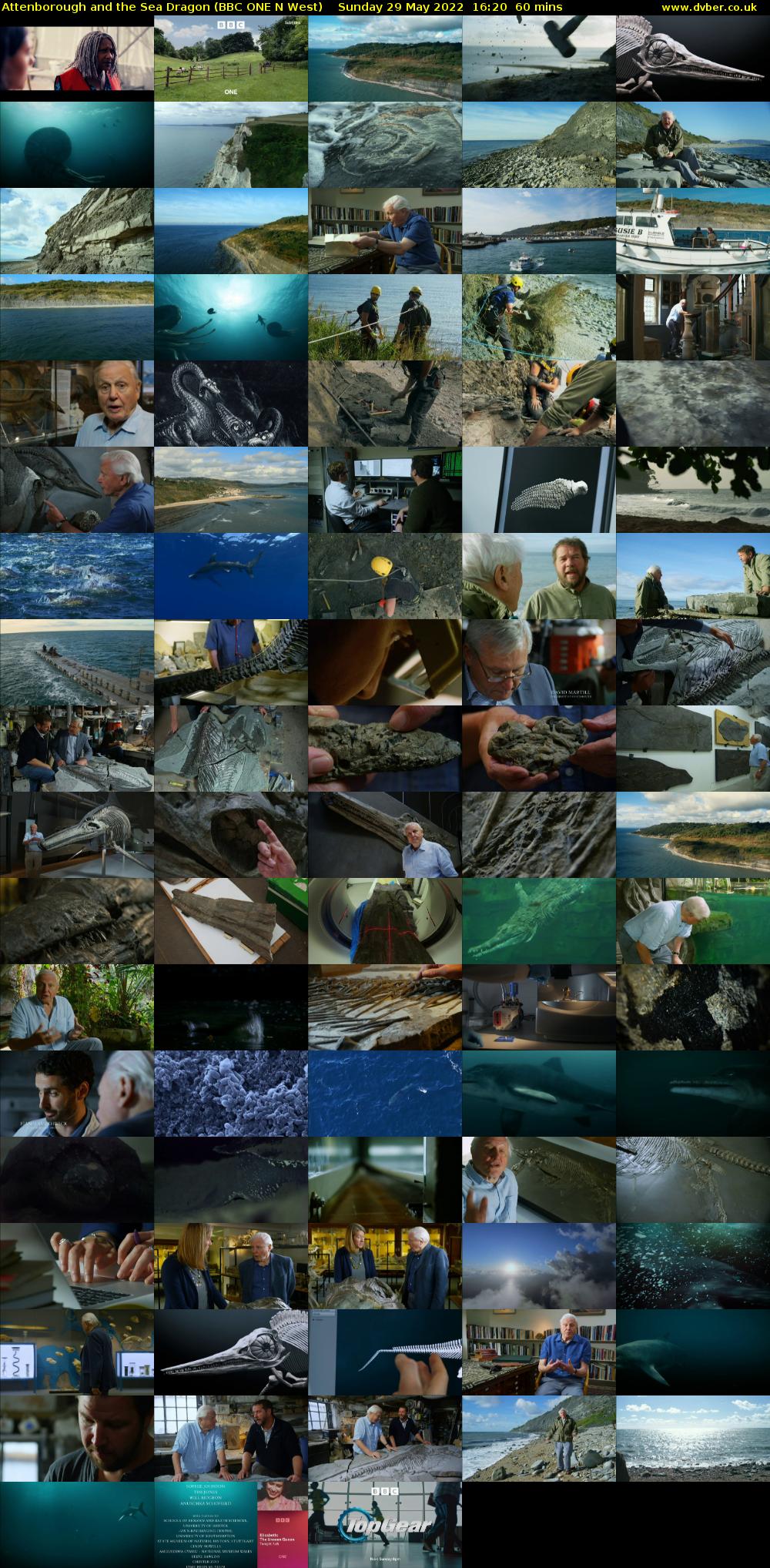 Attenborough and the Sea Dragon (BBC ONE N West) Sunday 29 May 2022 16:20 - 17:20