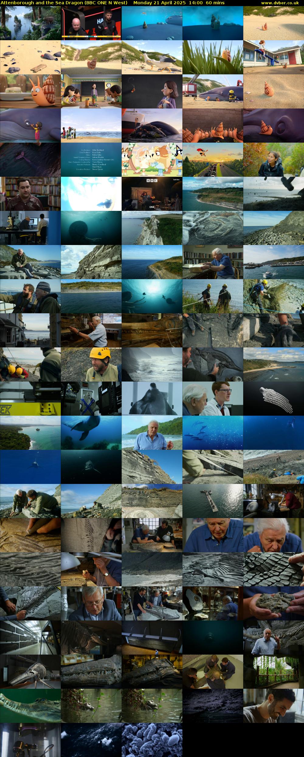 Attenborough and the Sea Dragon (BBC ONE N West) Monday 21 April 2025 14:00 - 15:00