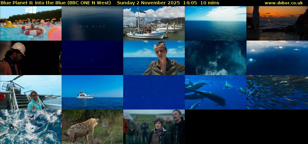 Blue Planet II: Into the Blue (BBC ONE N West) Sunday 2 November 2025 14:05 - 14:15