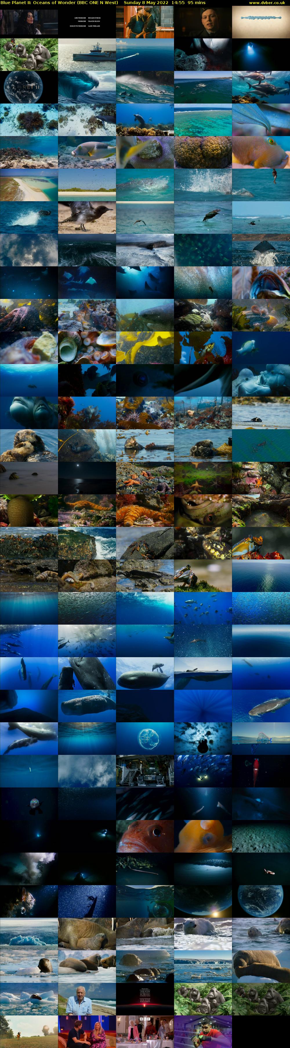 Blue Planet II: Oceans of Wonder (BBC ONE N West) Sunday 8 May 2022 14:55 - 16:30