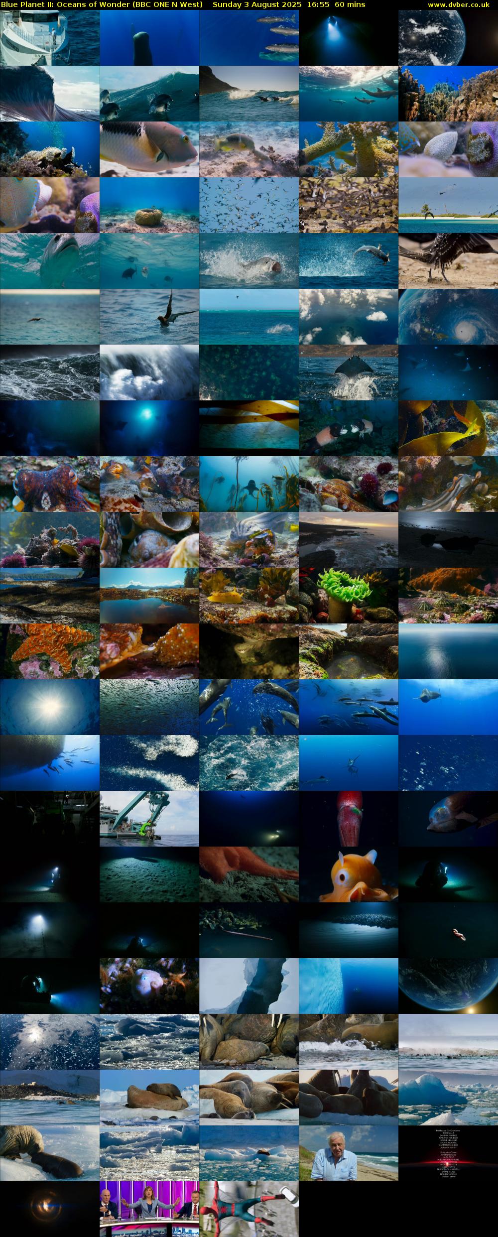 Blue Planet II: Oceans of Wonder (BBC ONE N West) Sunday 3 August 2025 16:55 - 17:55