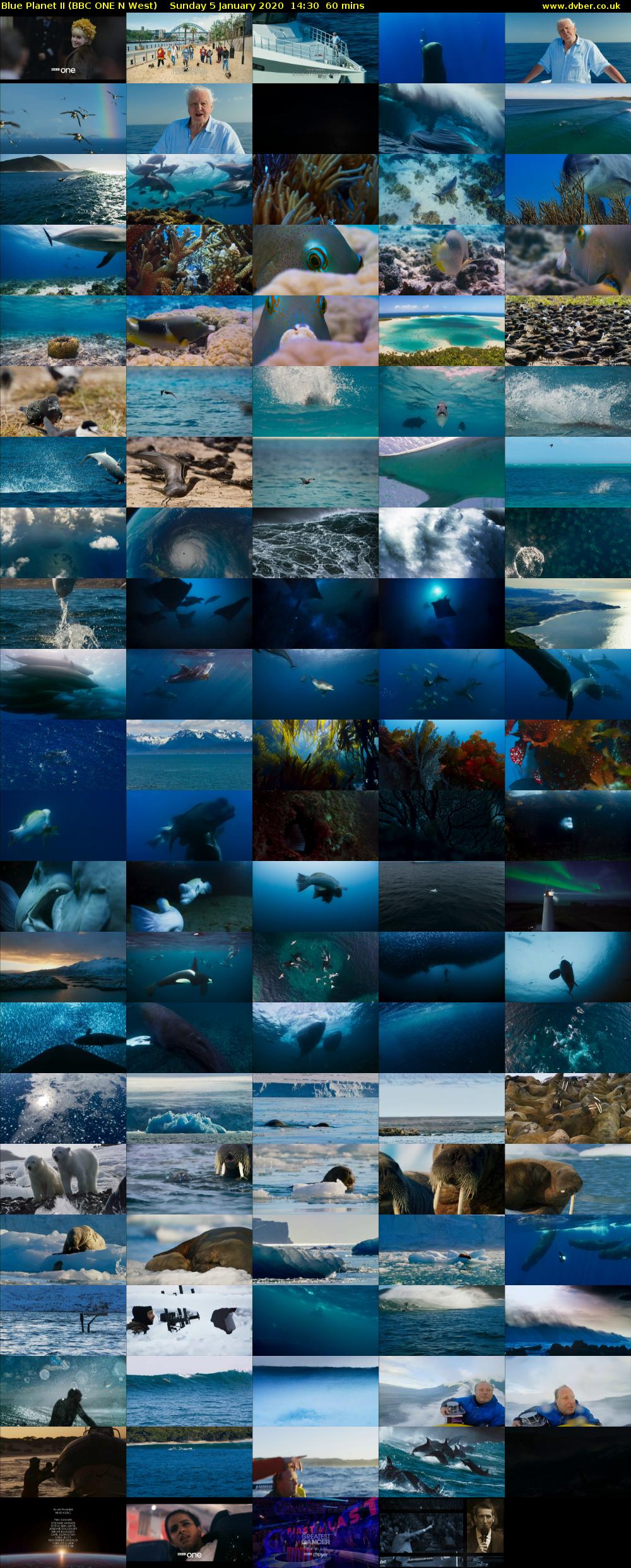 Blue Planet II (BBC ONE N West) Sunday 5 January 2020 14:30 - 15:30