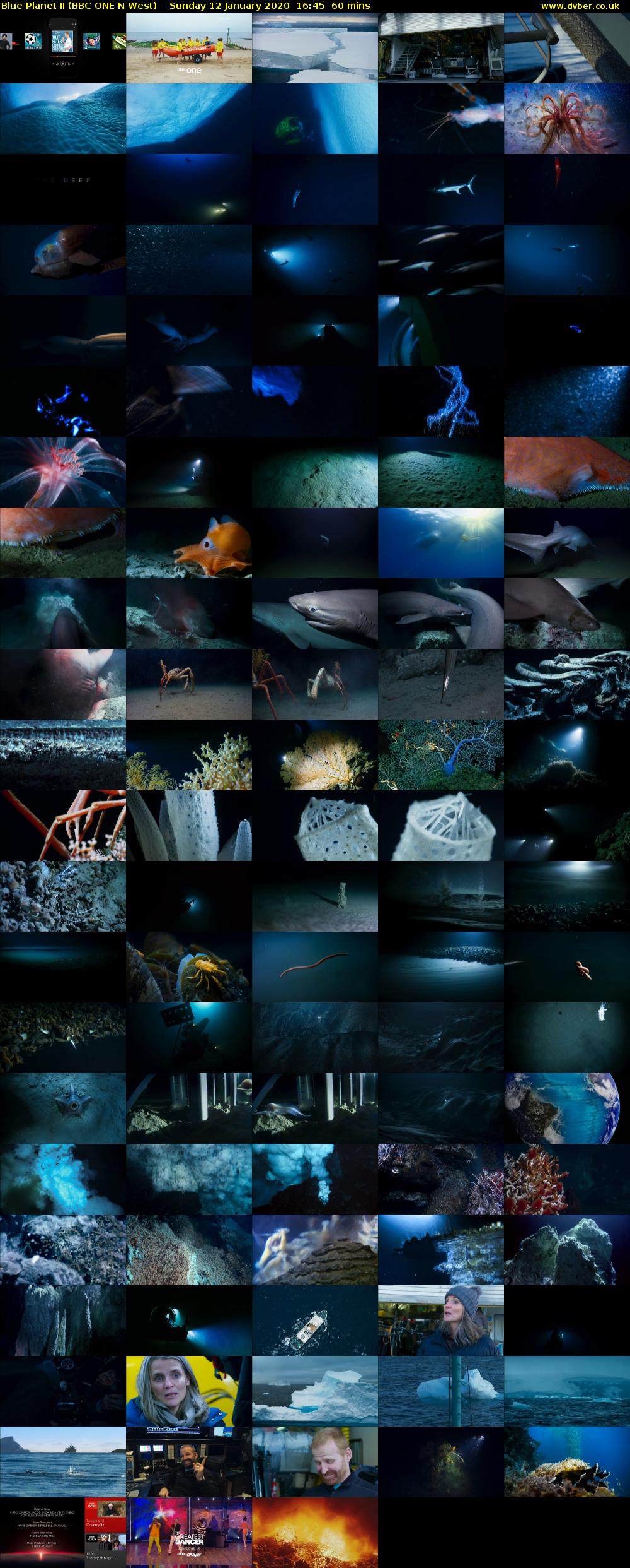 Blue Planet II (BBC ONE N West) Sunday 12 January 2020 16:45 - 17:45