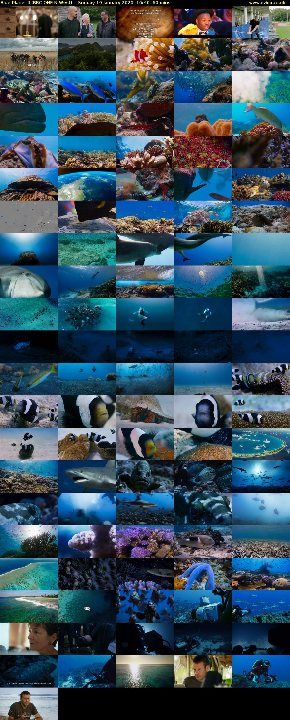 Blue Planet II (BBC ONE N West) Sunday 19 January 2020 16:40 - 17:40