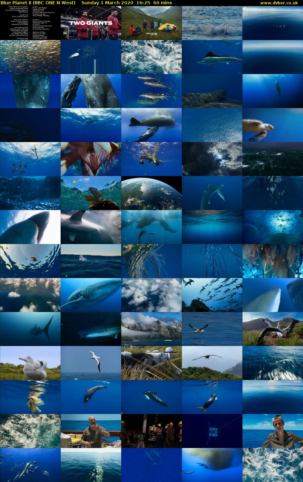 Blue Planet II (BBC ONE N West) Sunday 1 March 2020 16:25 - 17:25