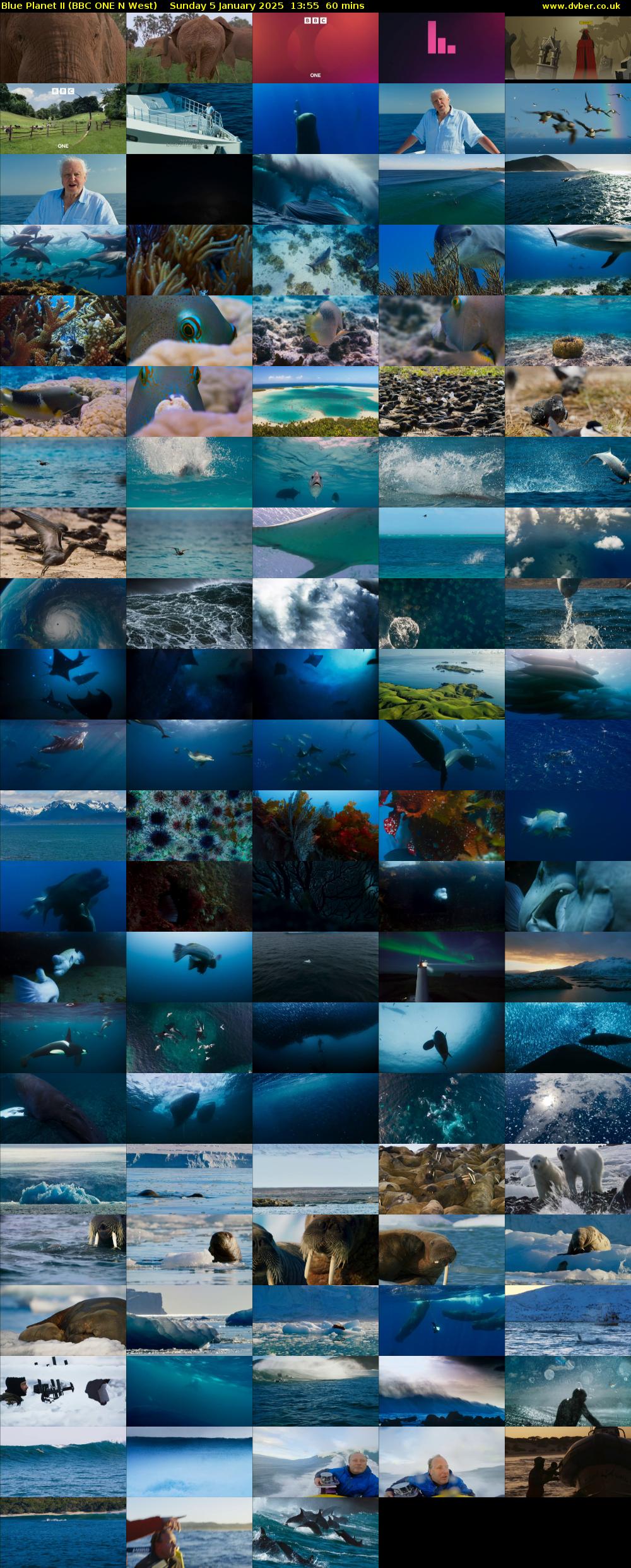 Blue Planet II (BBC ONE N West) Sunday 5 January 2025 13:55 - 14:55
