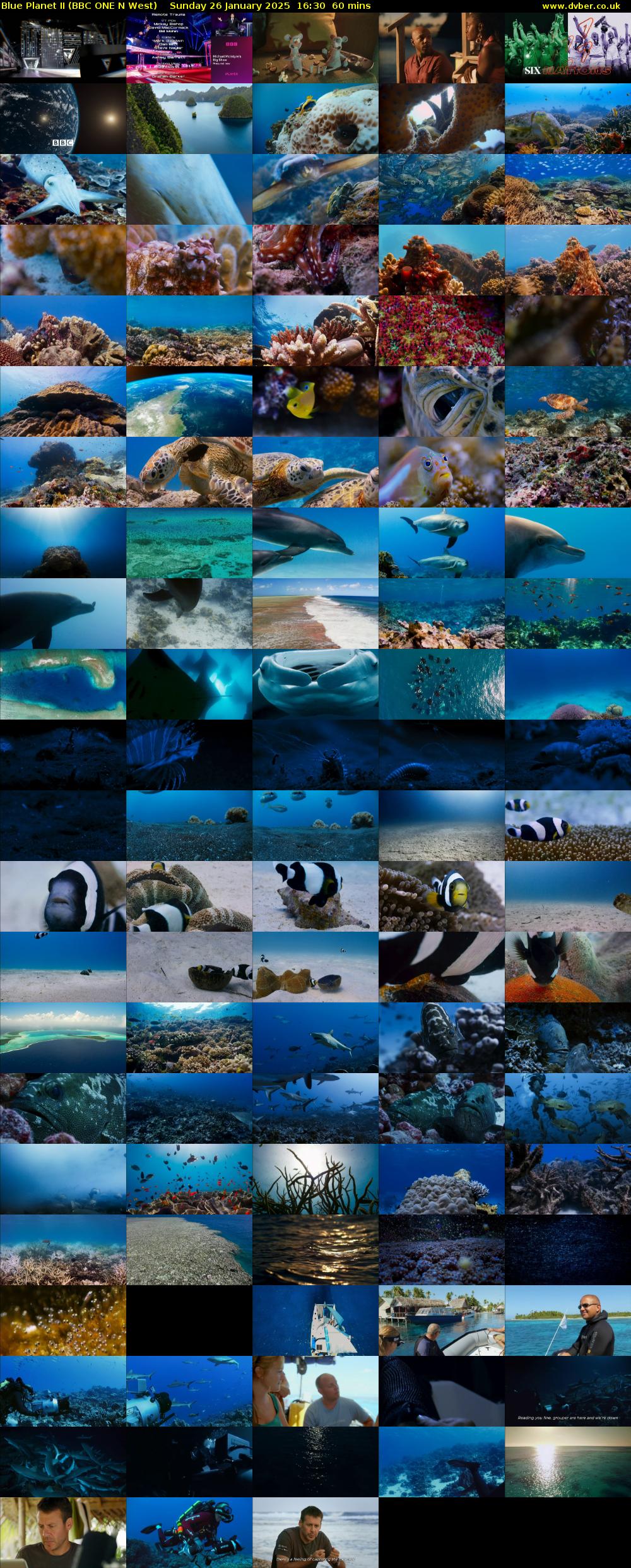 Blue Planet II (BBC ONE N West) Sunday 26 January 2025 16:30 - 17:30