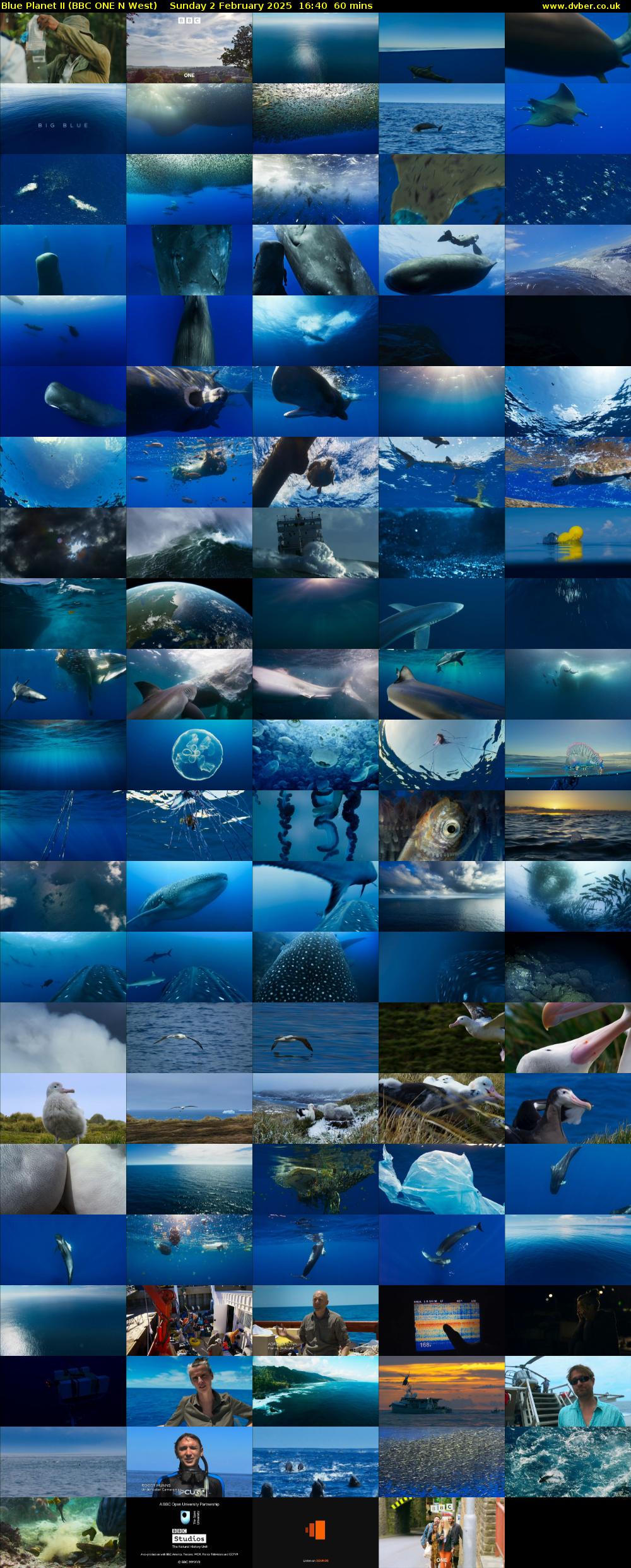 Blue Planet II (BBC ONE N West) Sunday 2 February 2025 16:40 - 17:40