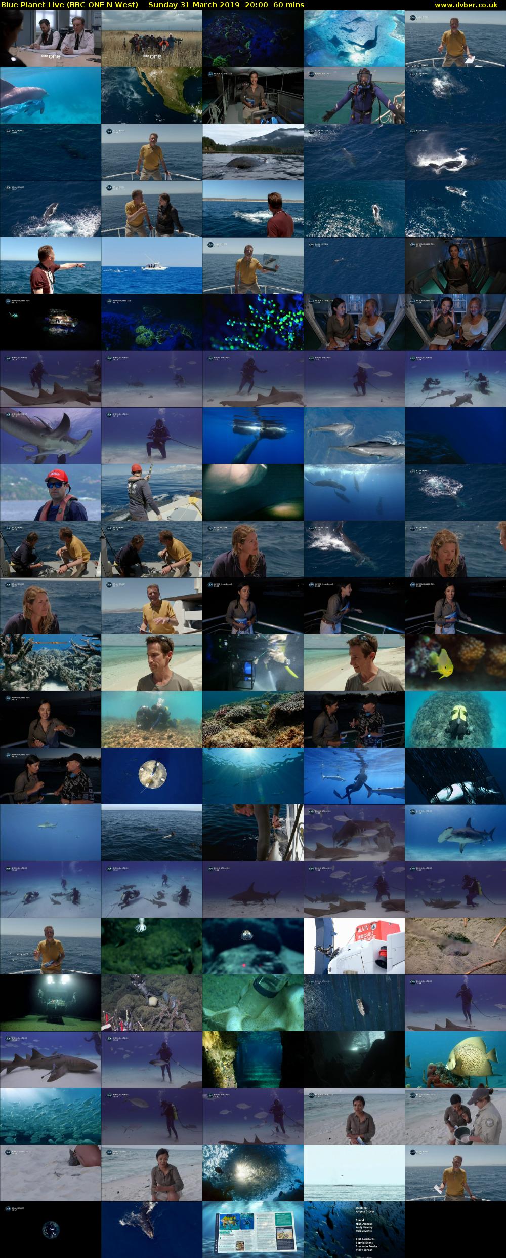 Blue Planet Live (BBC ONE N West) Sunday 31 March 2019 20:00 - 21:00