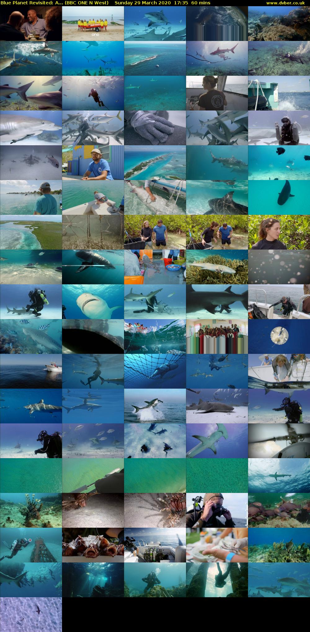 Blue Planet Revisited: A... (BBC ONE N West) Sunday 29 March 2020 17:35 - 18:35