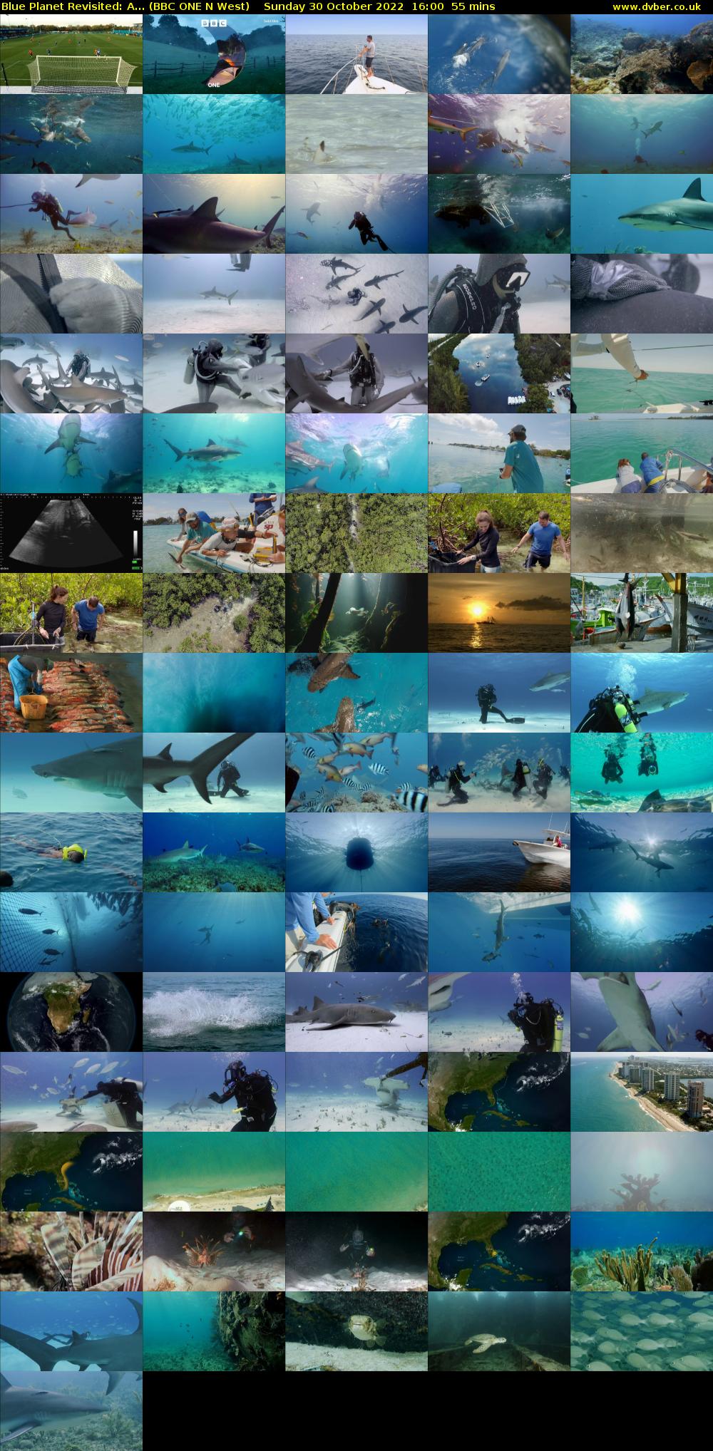 Blue Planet Revisited: A... (BBC ONE N West) Sunday 30 October 2022 16:00 - 16:55