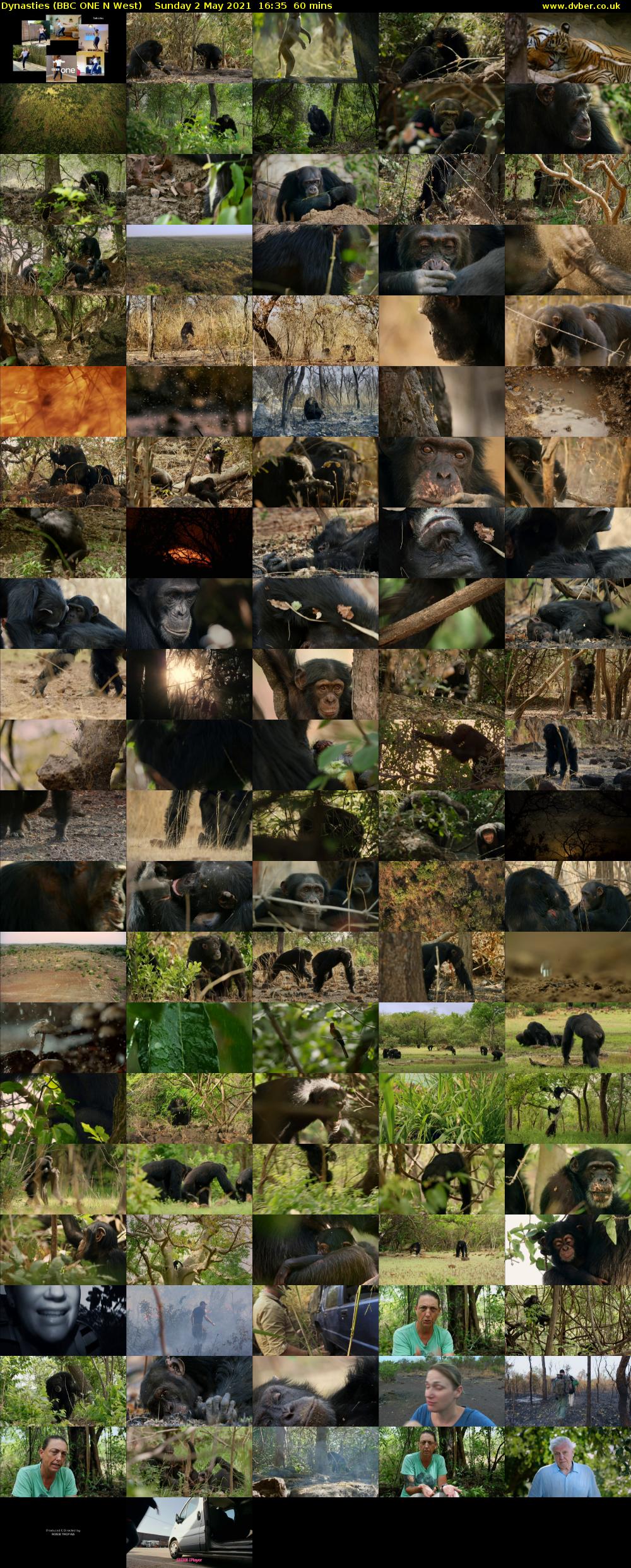 Dynasties (BBC ONE N West) Sunday 2 May 2021 16:35 - 17:35