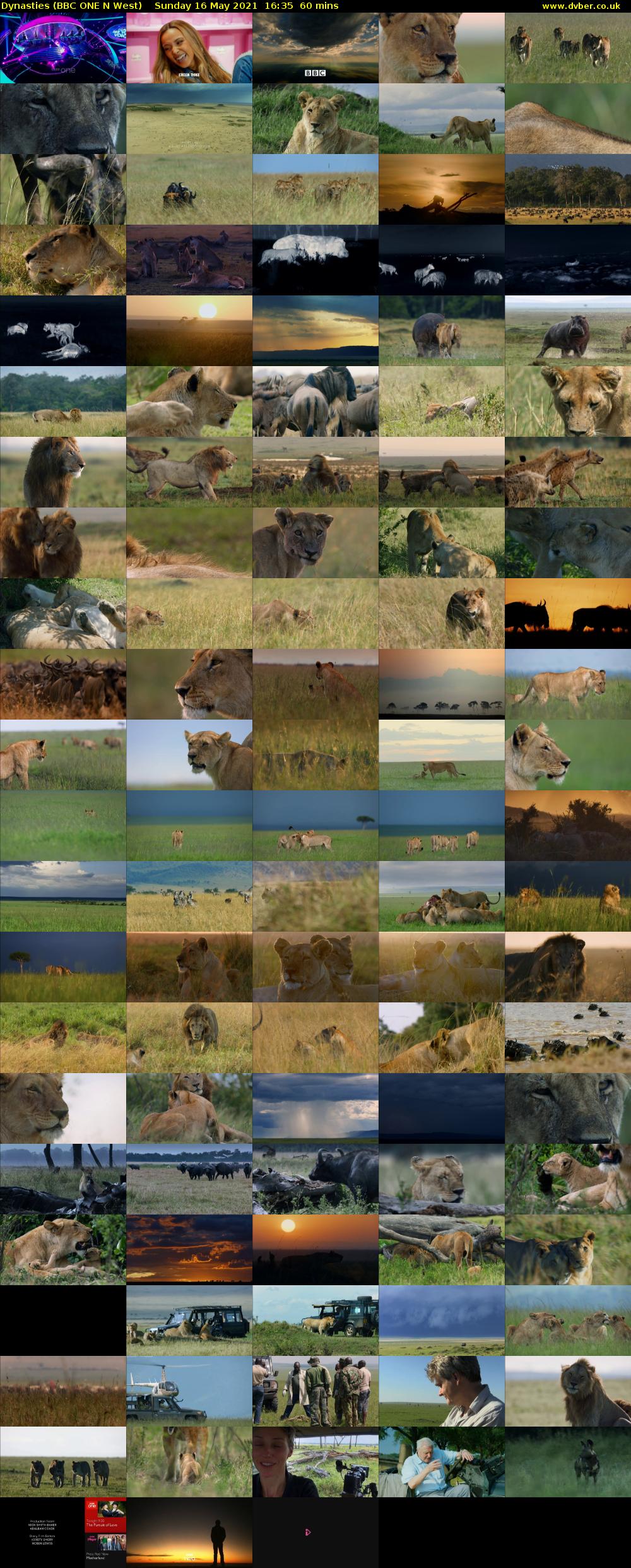 Dynasties (BBC ONE N West) Sunday 16 May 2021 16:35 - 17:35